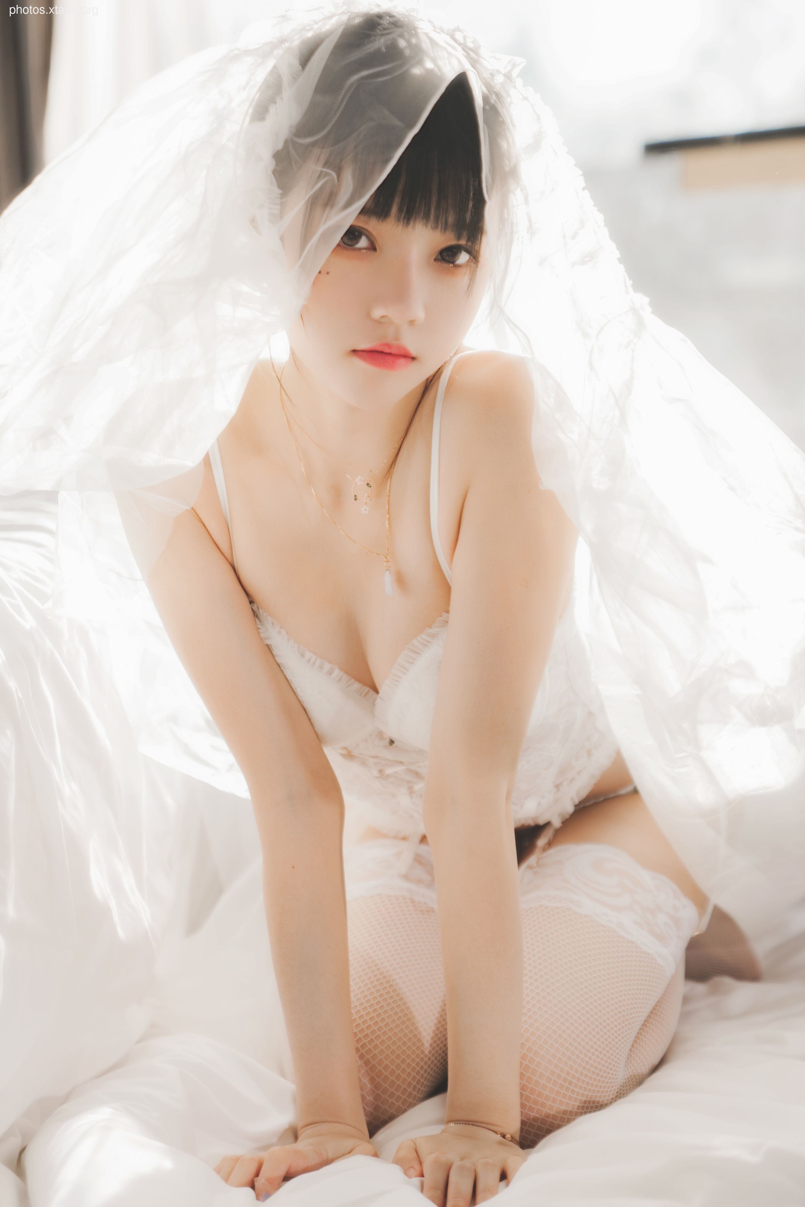 糖 桜 – -White gauze sugar