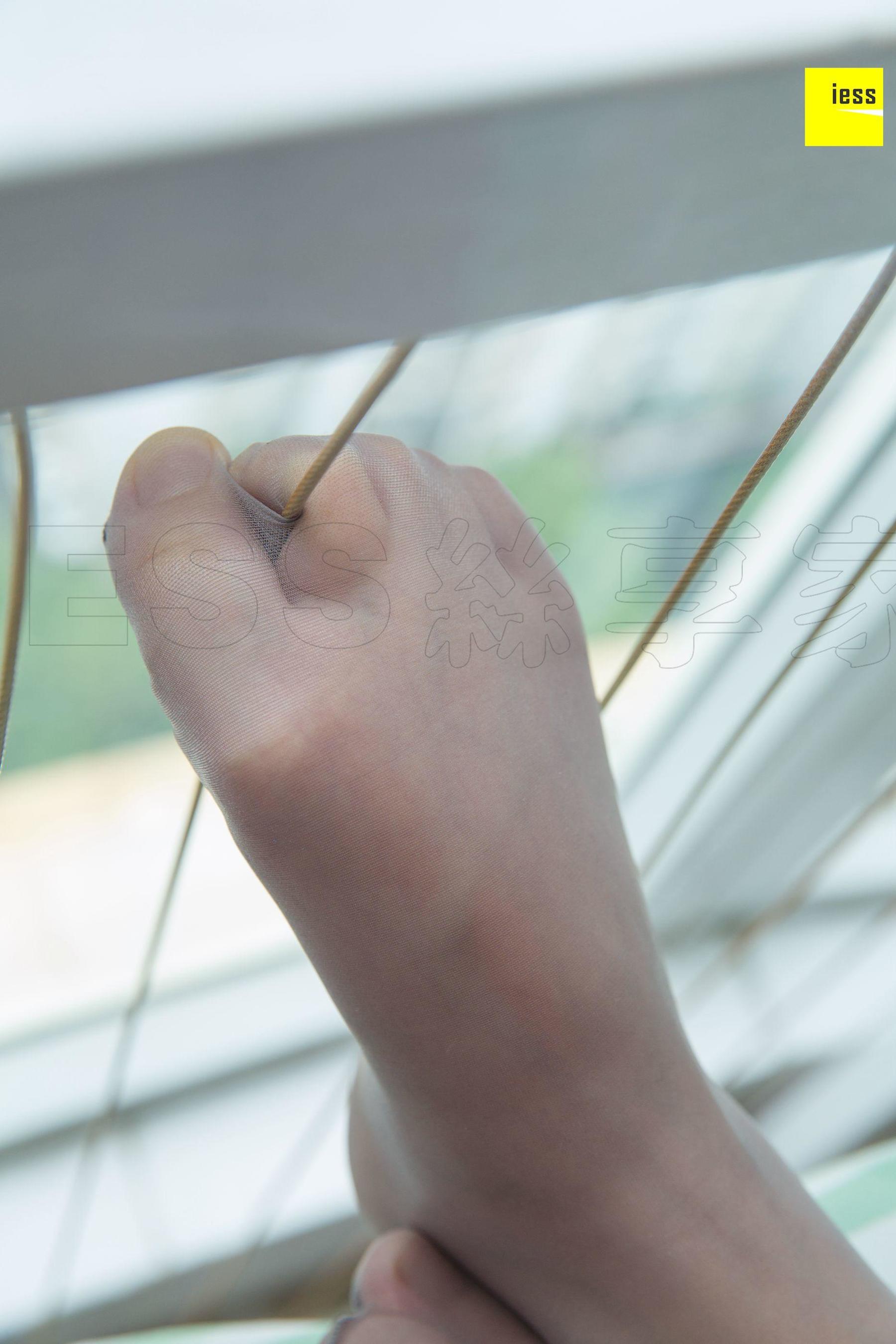 Different Thoughts to IESS Model Wenxin Wenxin Black Demon Ji