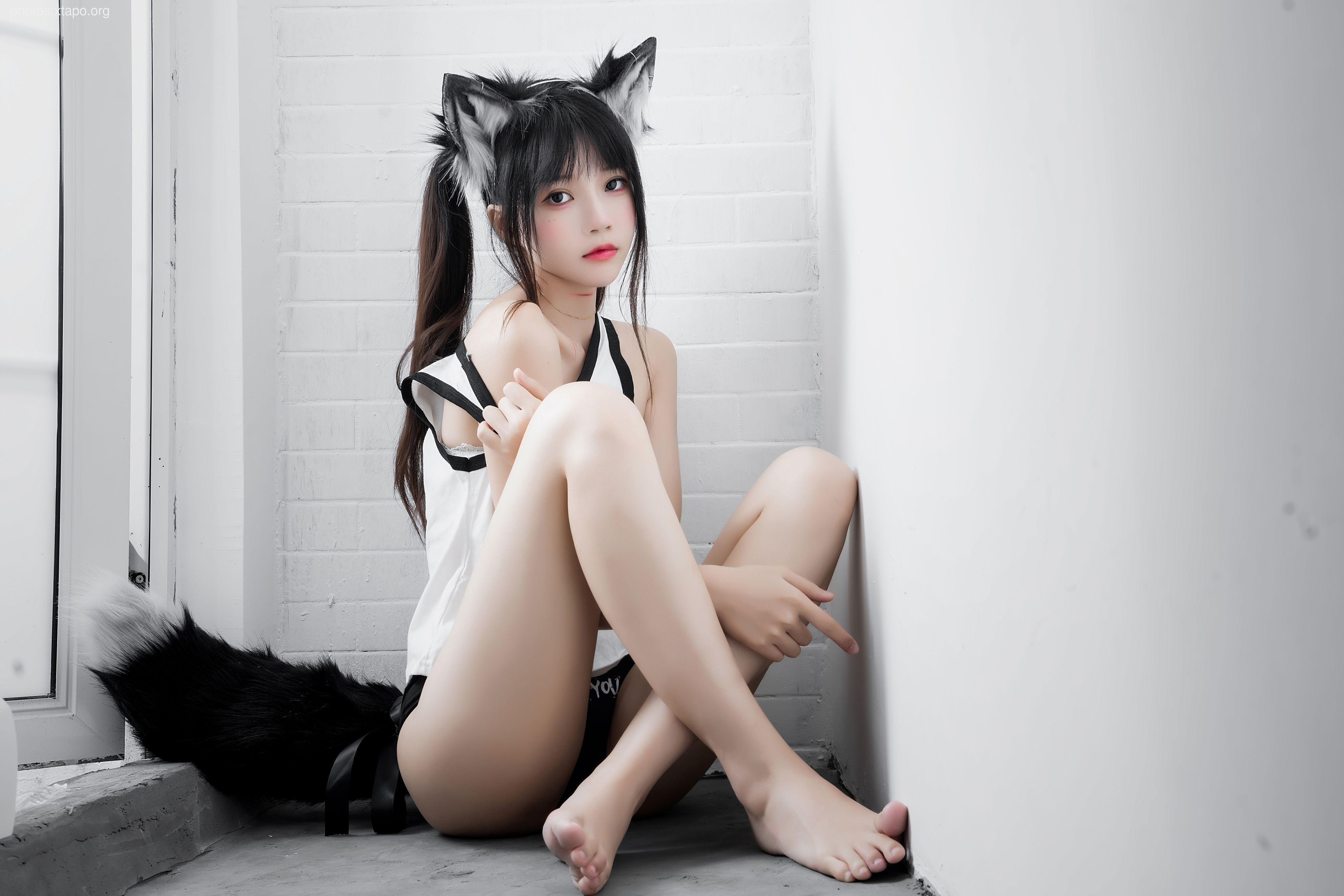 崽 桜 （ -wolf cub (6.12 member resources)