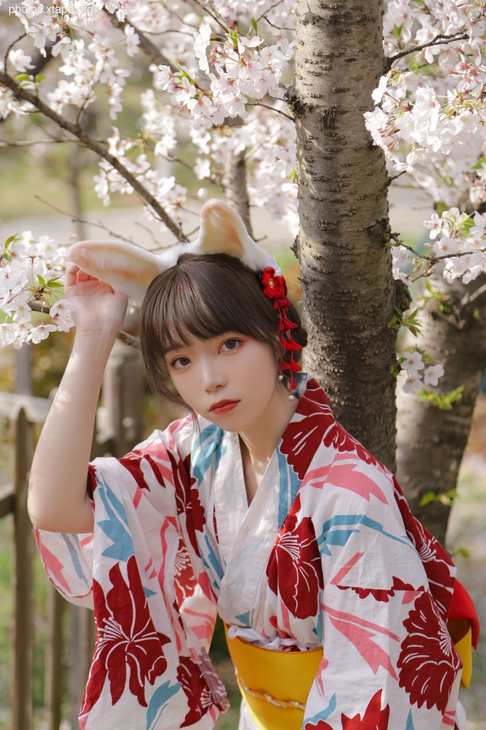 NO.017 Sakura Rabbit