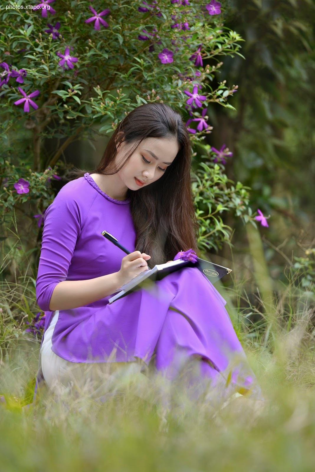 the most beautiful wild forest of purple flowers The most love story