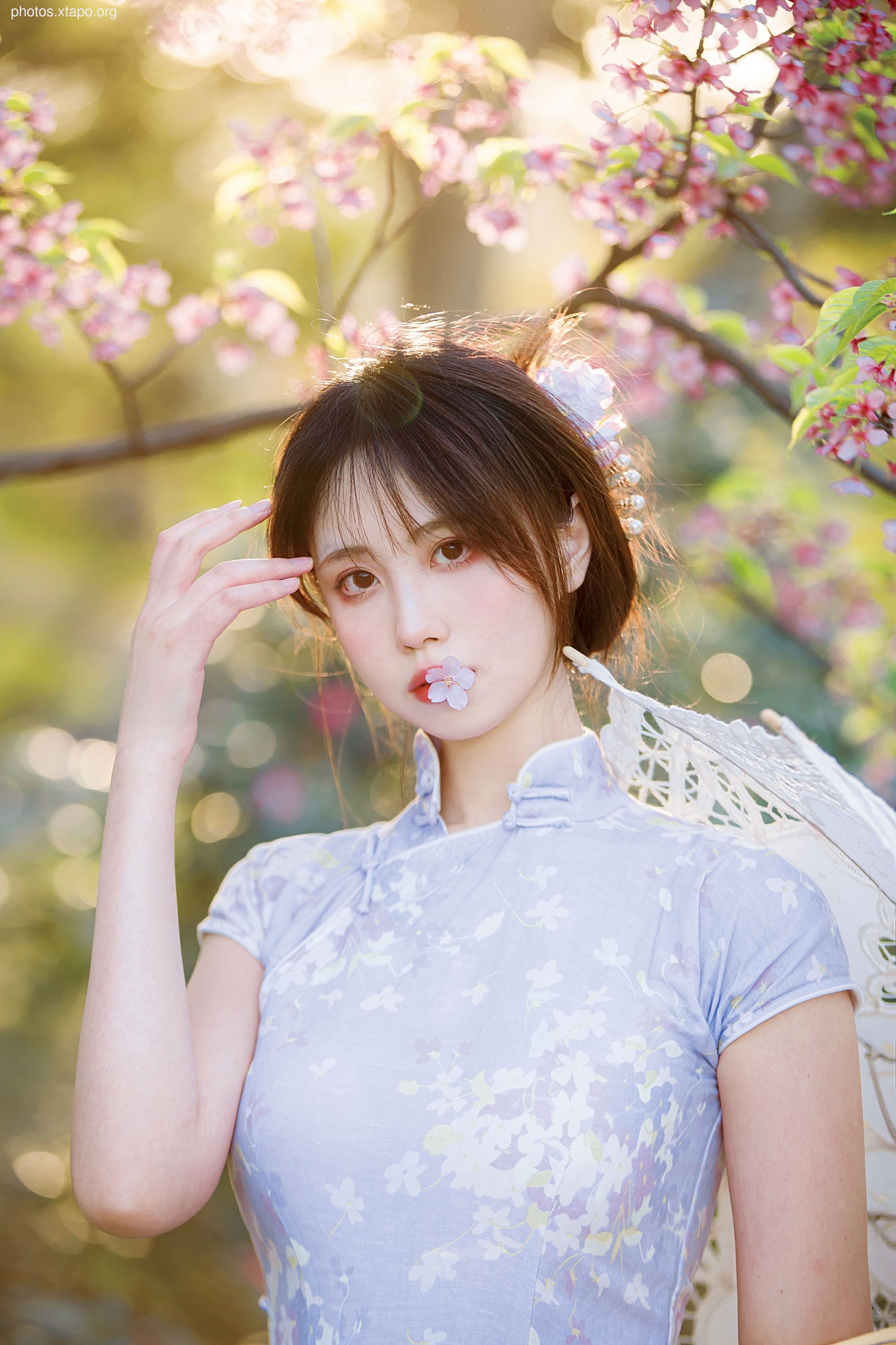 NO.026 Cheongsam 38P-377MB