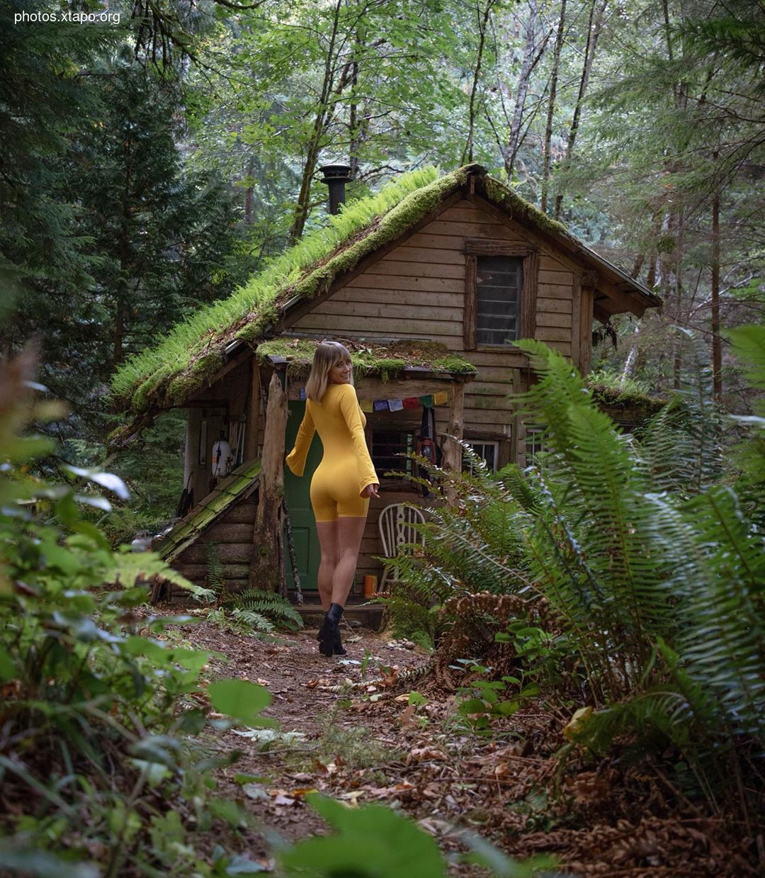 Building a wonderland of artisan cabins nestled in the PNW rainforest by Jacob Witzling & Sara Underwood