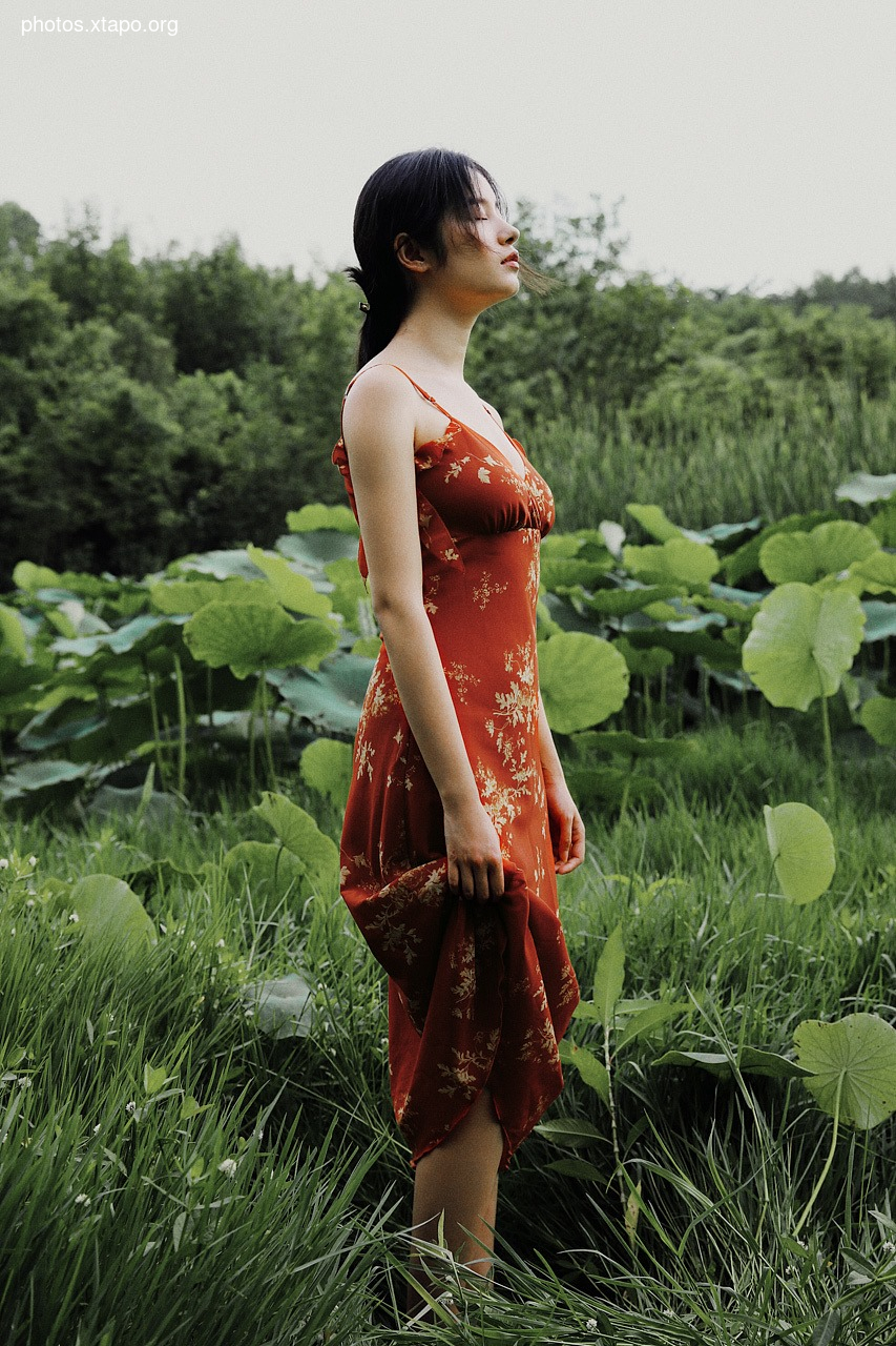 nag snow white 山雪白