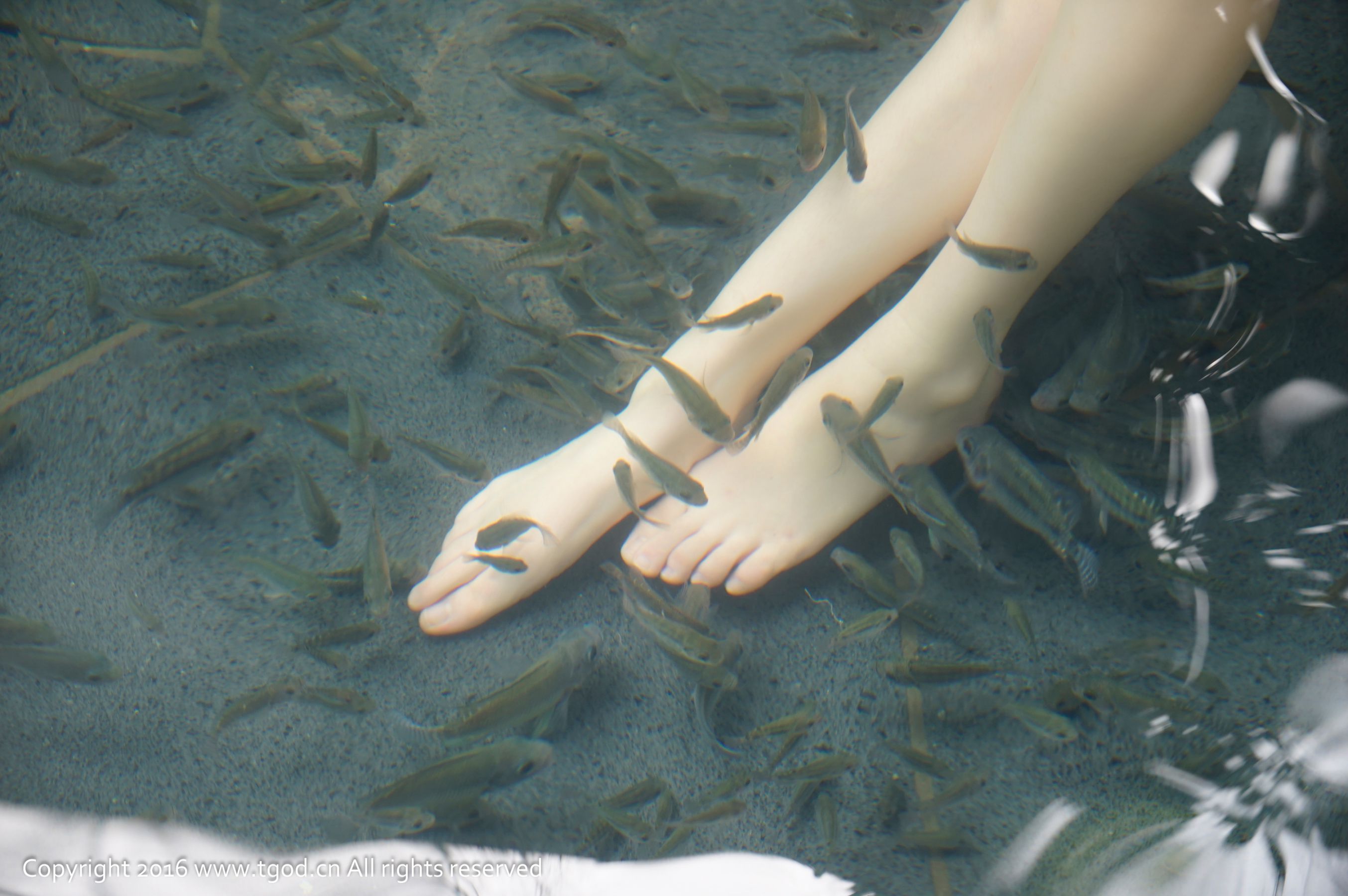 Deng Xue Sweet Sexy and Charming Little Woman Tenderness Push Goddess TGOD