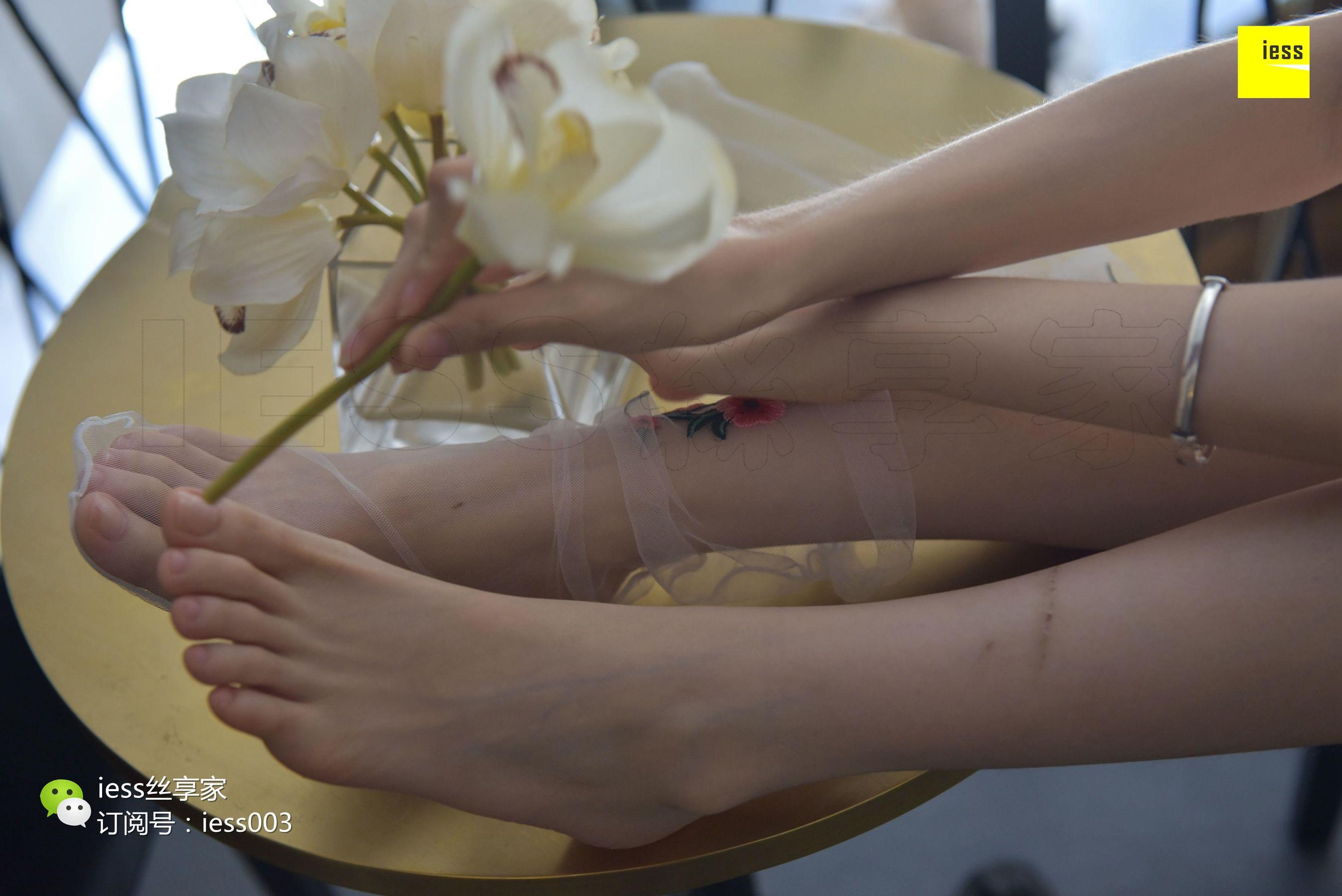 Silkxiang Home 050 Jiajia Jiajia Jiaye IESS is thinking about it