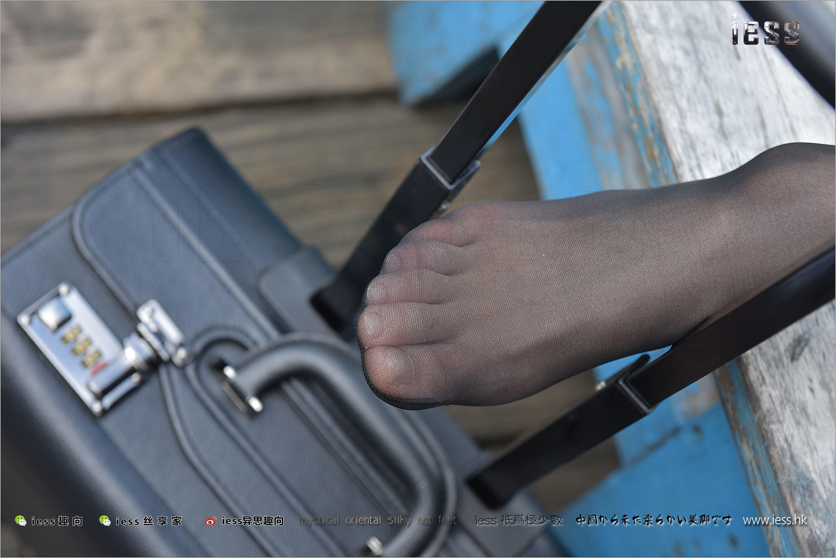 Silk Foot Bento 151 Primary Six Little Six Outdoor Black Silk Show IESS Thoughts and Fun