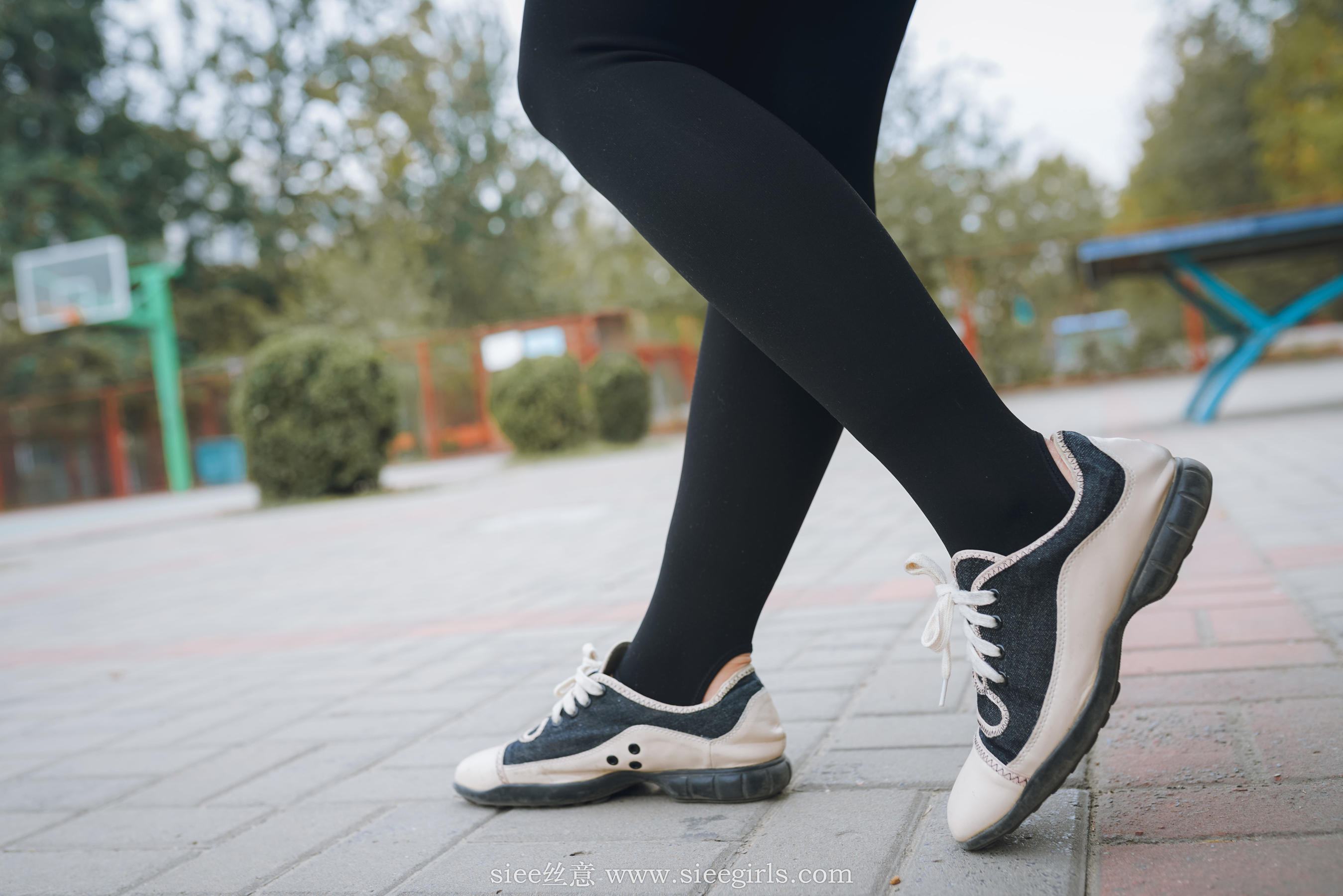 Si Yi Siee The romantic sisters of the bear