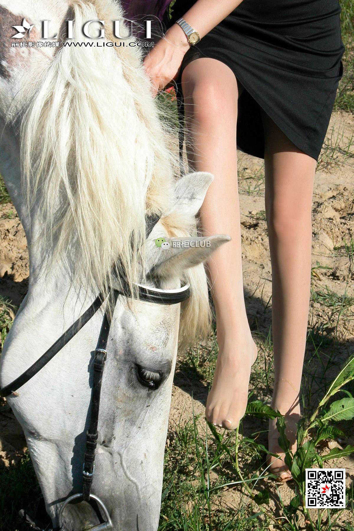 Leg Model Silk Gao White Horse Girl Mith Ligui Beautiful leg silk foot