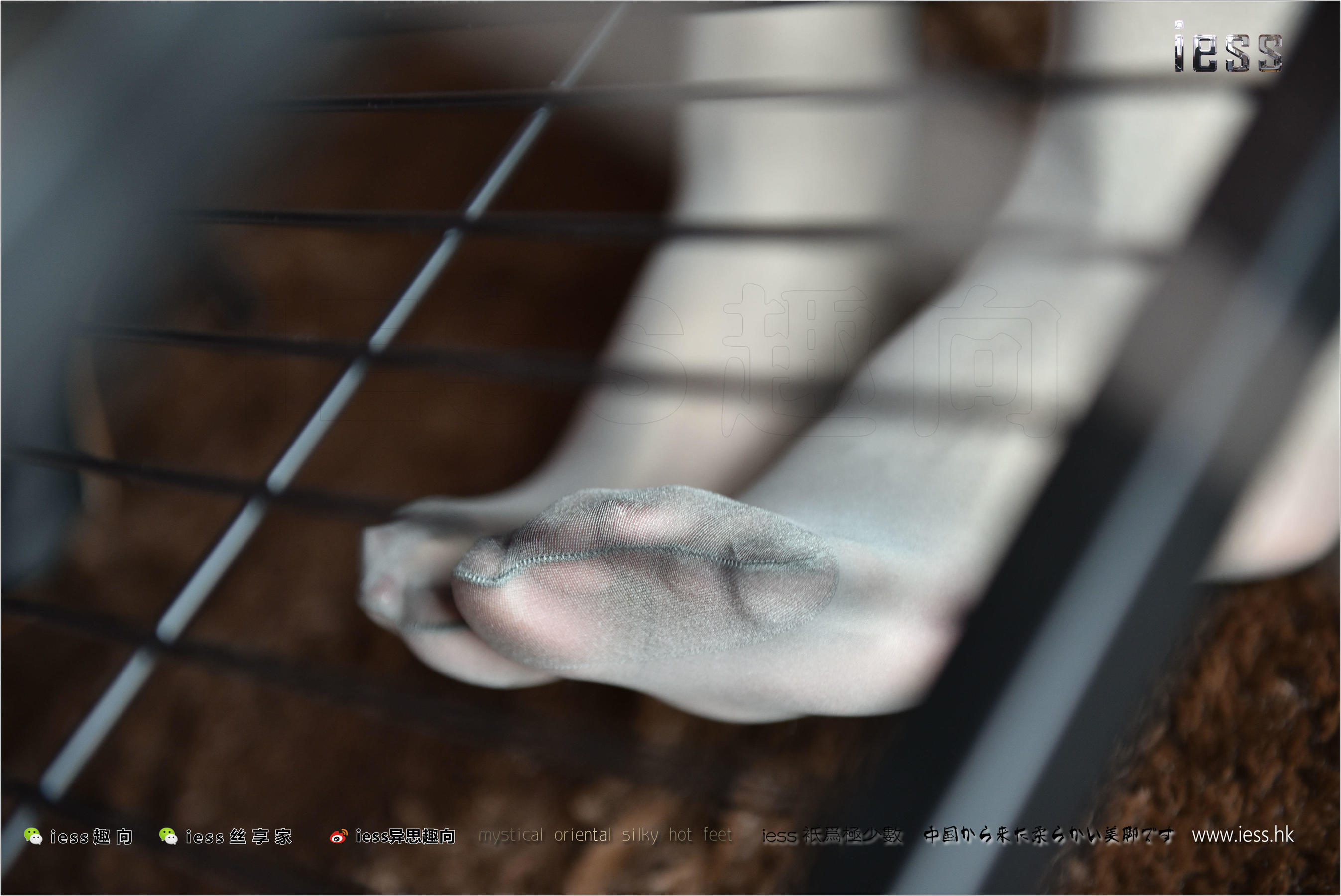 Silk Foot Bento 169 Weiwei Guest (thick gray silk) IESS is interesting and interesting