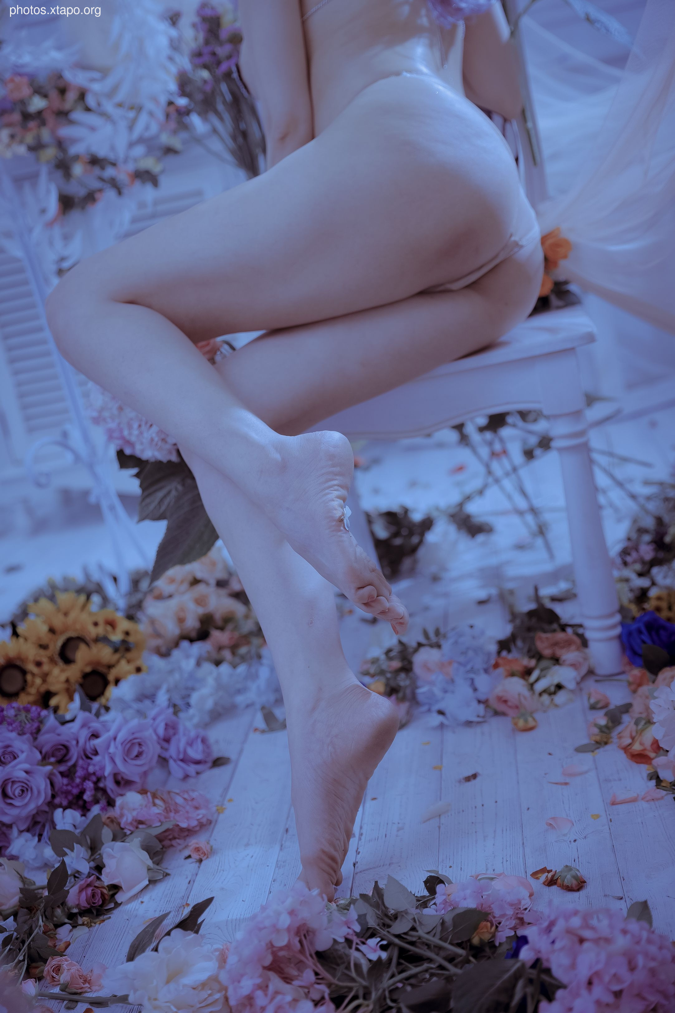 Autumn and Corgi -Mrs. Butterfly 61P1V1.2G