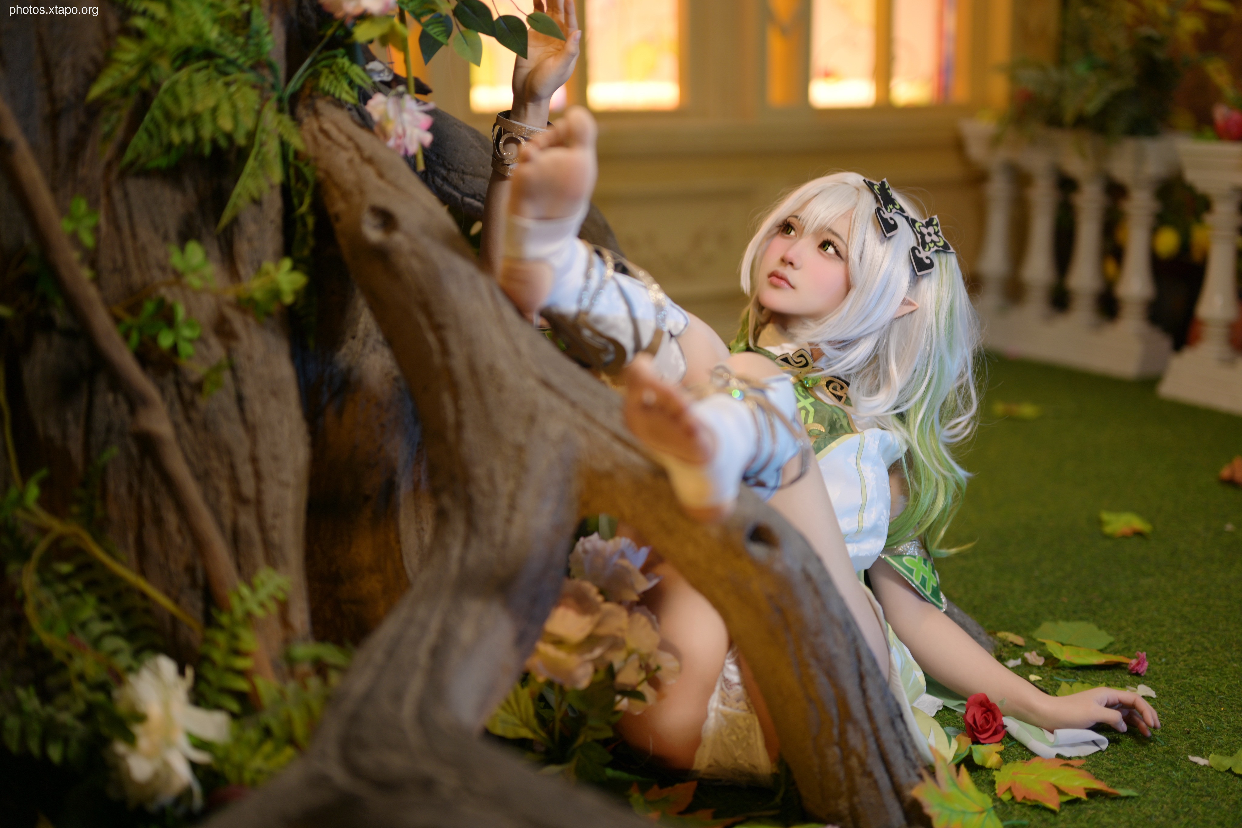 Raika Raika Naxi Paradise