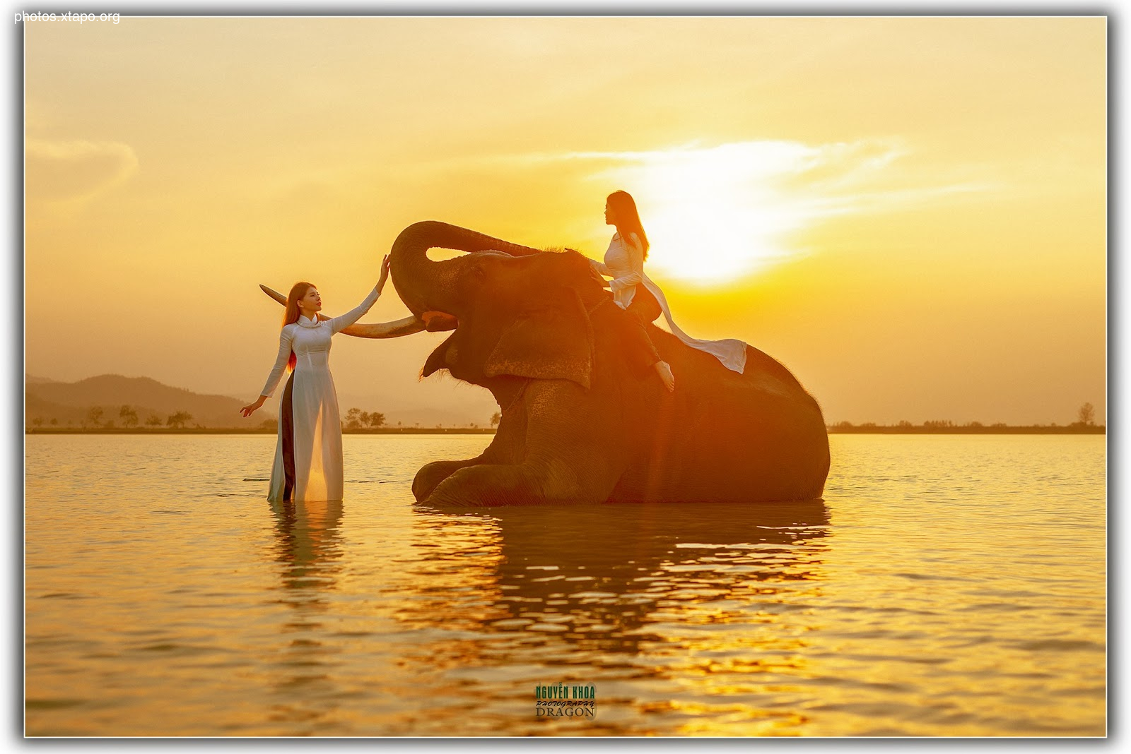 Thao Chi vs Kim Phung,