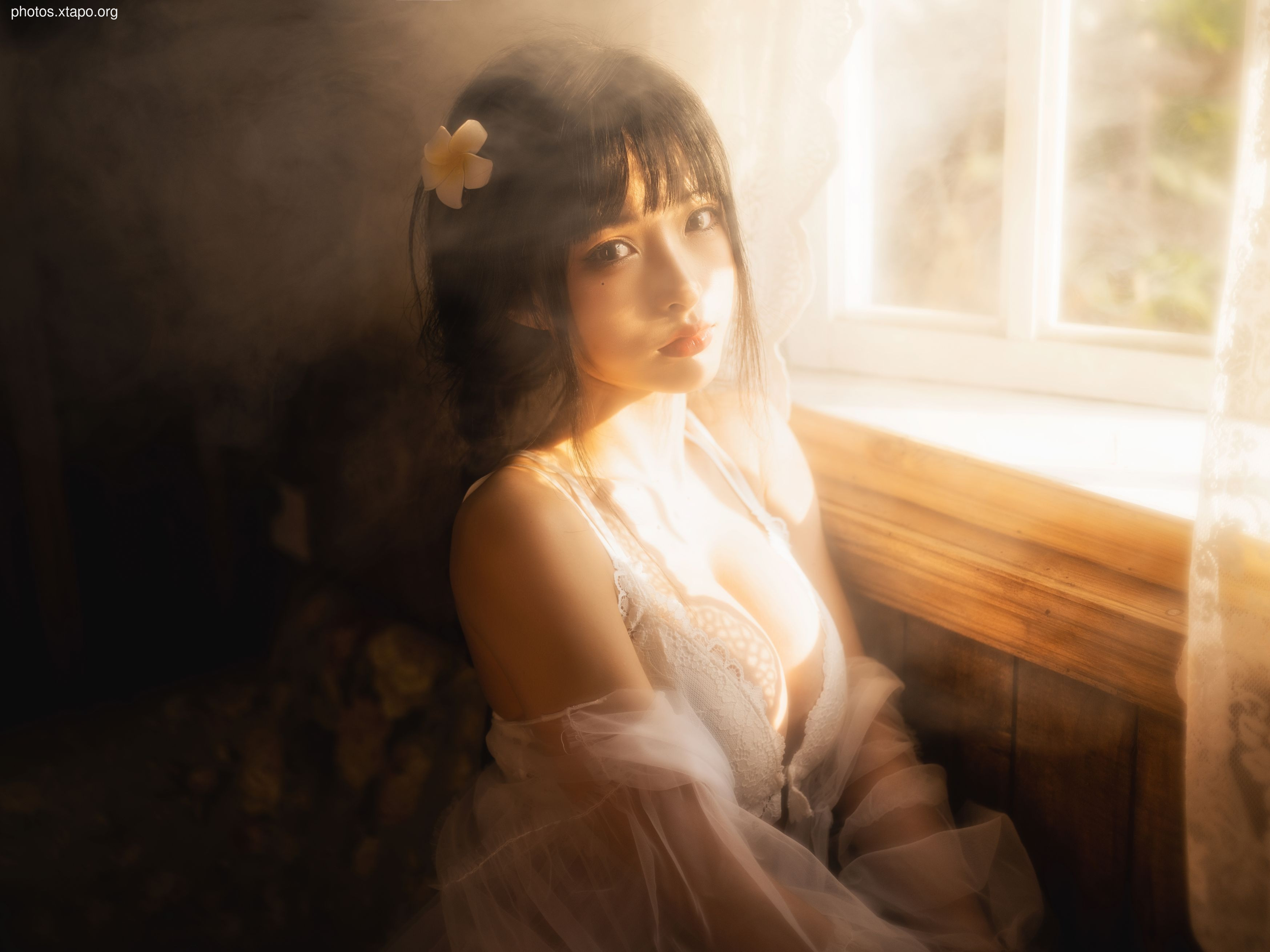 Shimizuya -French underwear