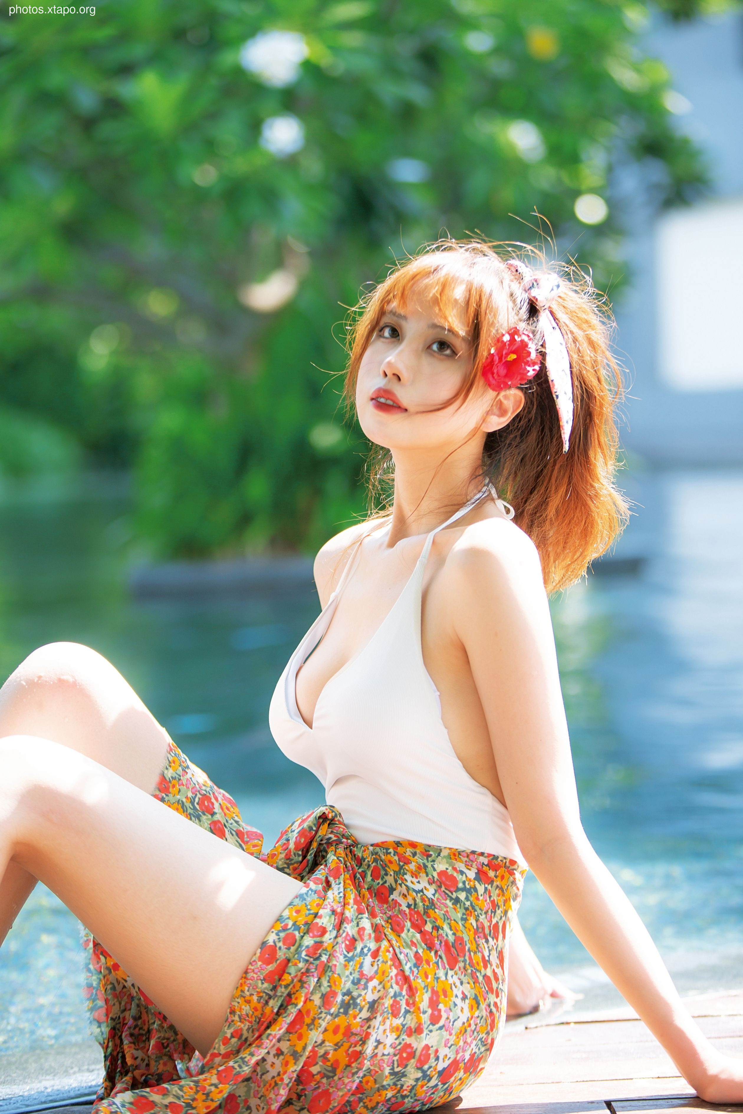 NO.034 Showa Flower 35P-435MB