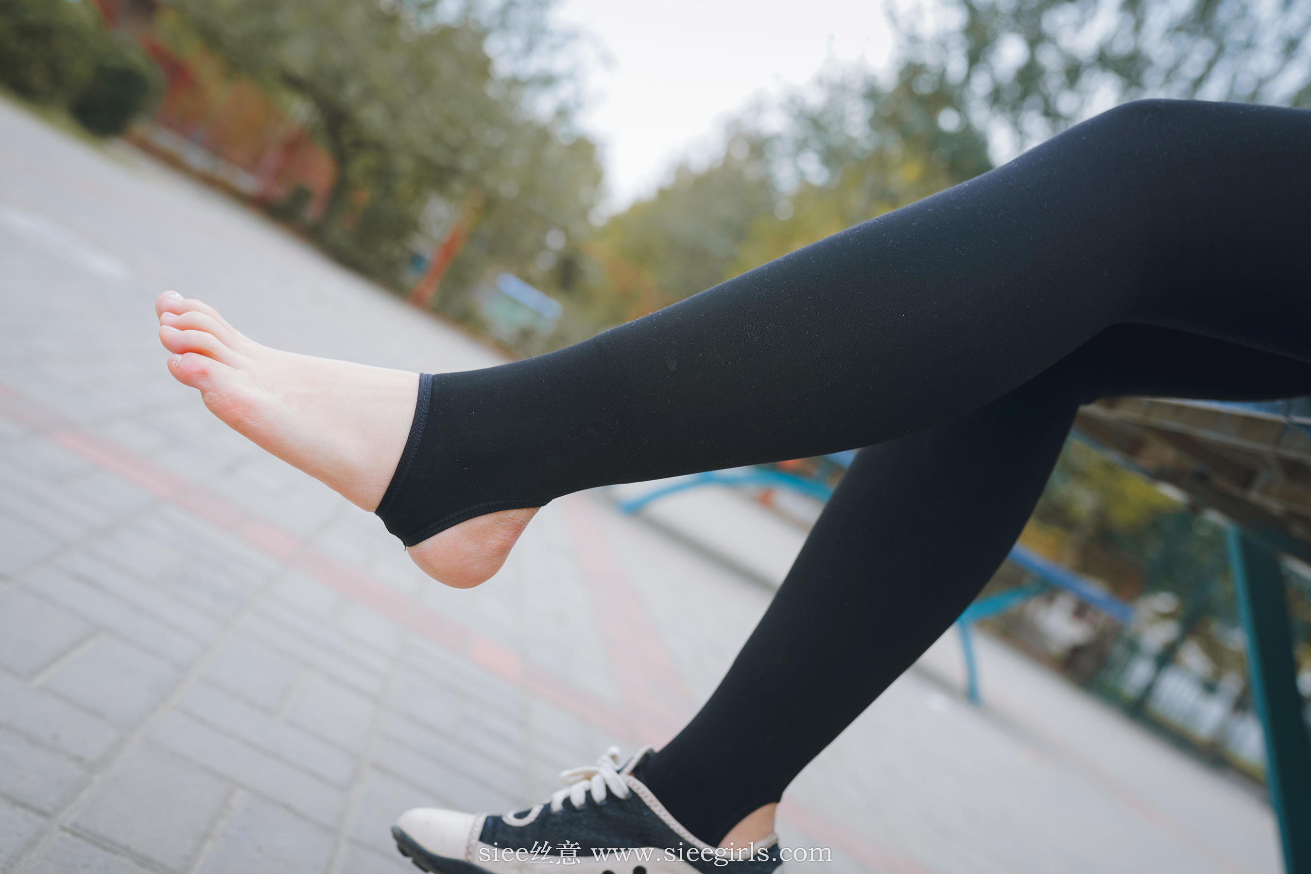 Si Yi Siee The romantic sisters of the bear