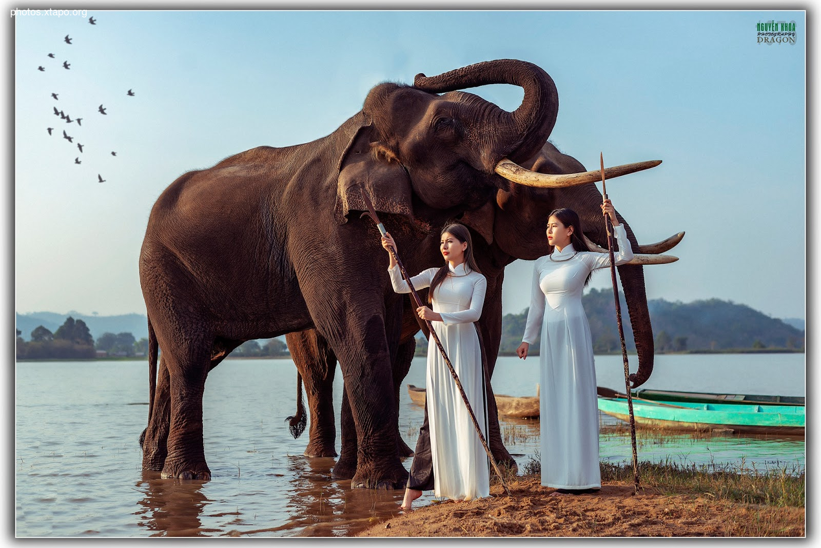 Thao Chi vs Kim Phung,