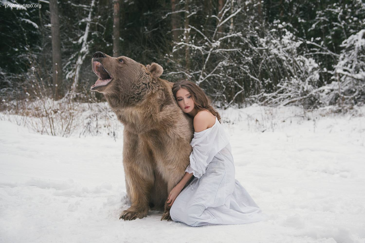 Russia nature, forest and animals by Olga Barantseva