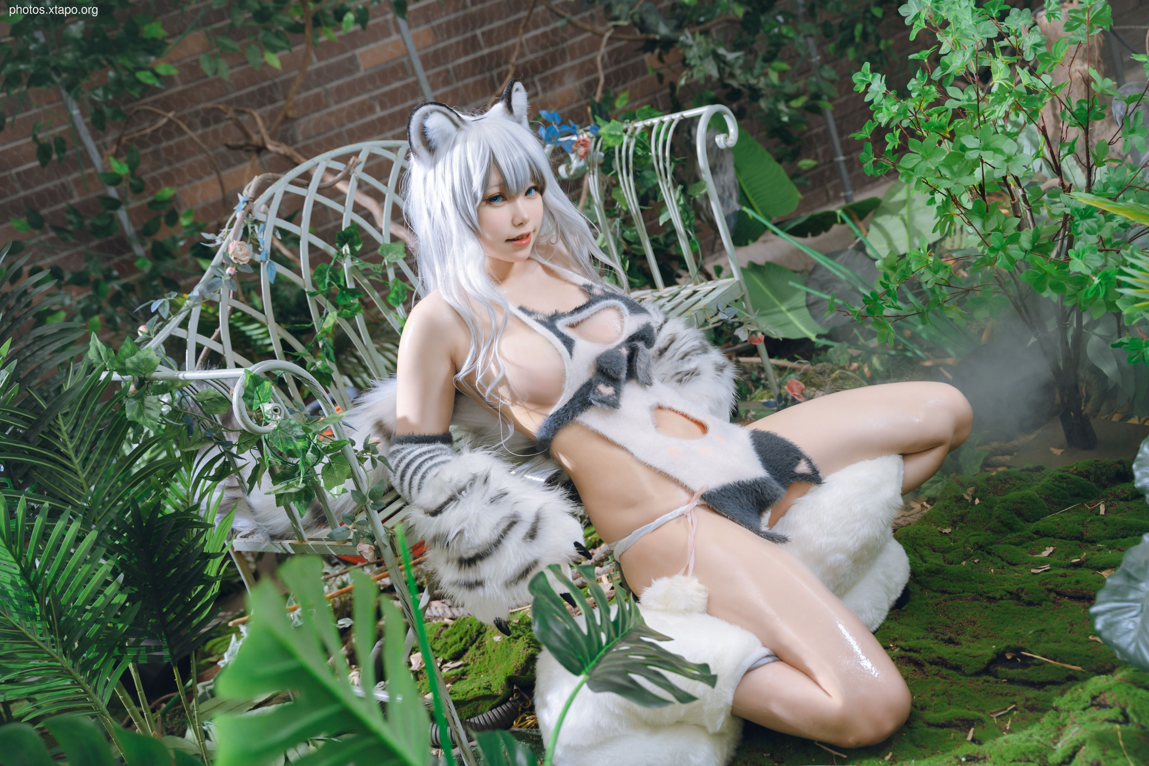 One North White Tiger Beast Mother Furui (November 21 Award Group Resources)