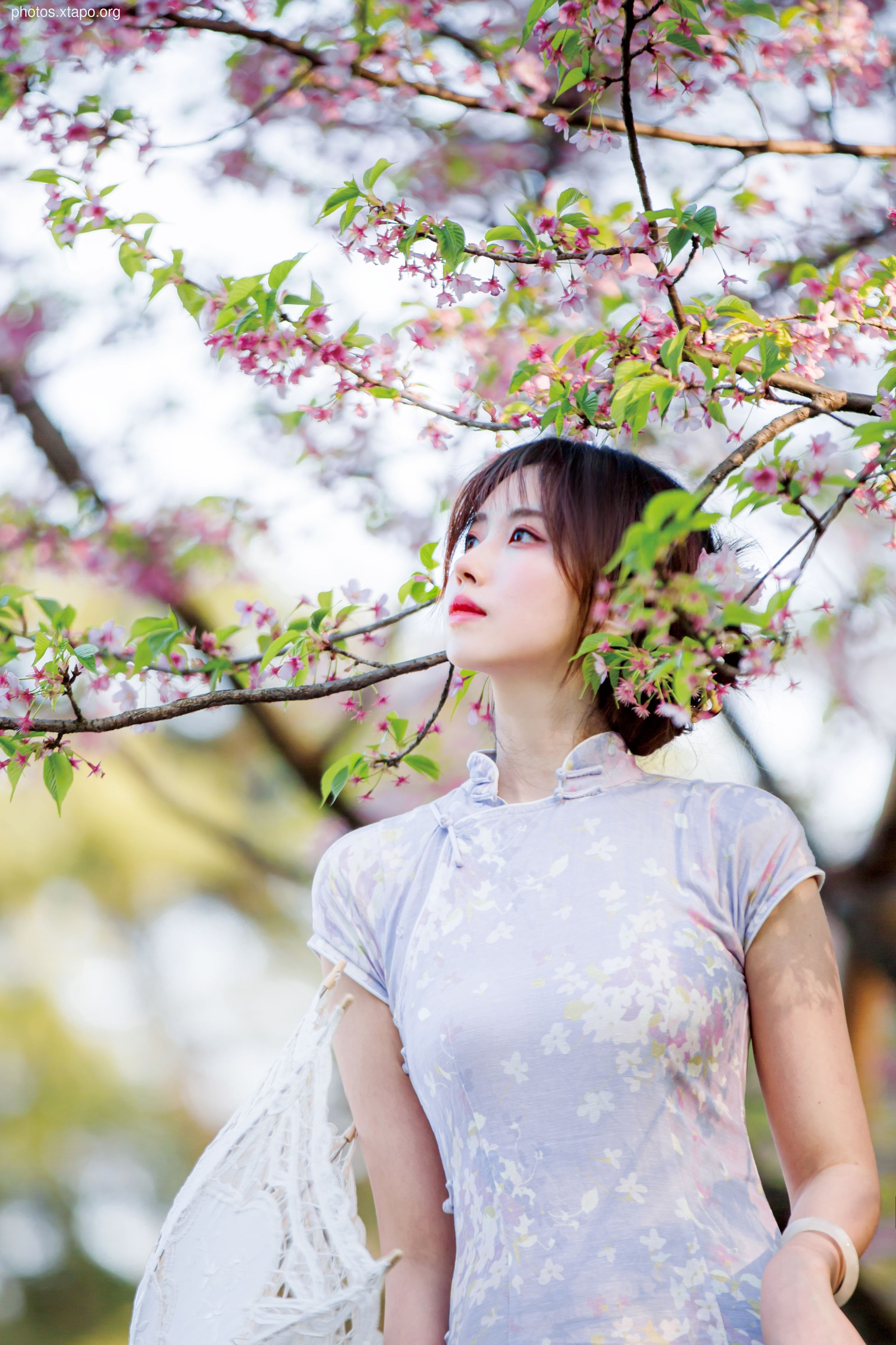 NO.026 Cheongsam 38P-377MB