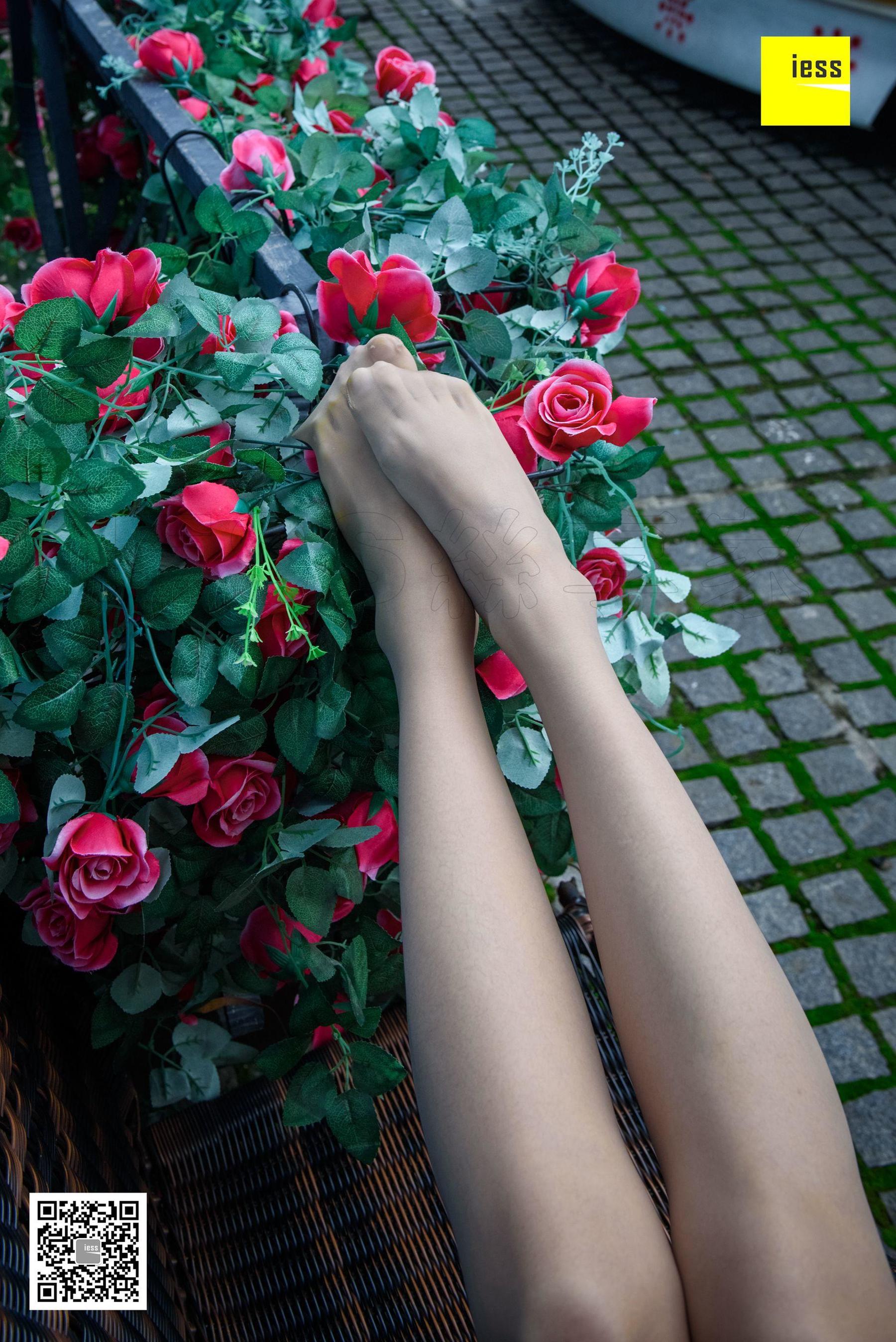 Wan Ping's Rose and Patriarchs Fun Thoughts to IESS Silk Enjoy Home 161