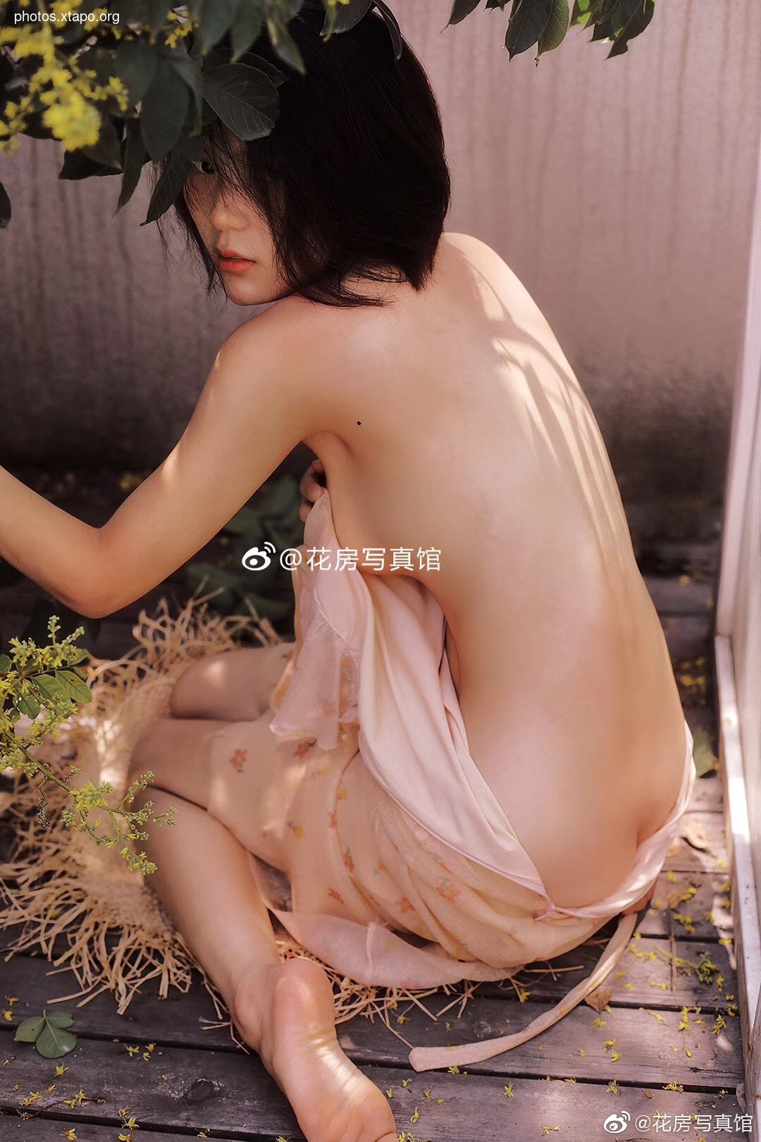 Flower room description of the shop 花房 写真馆