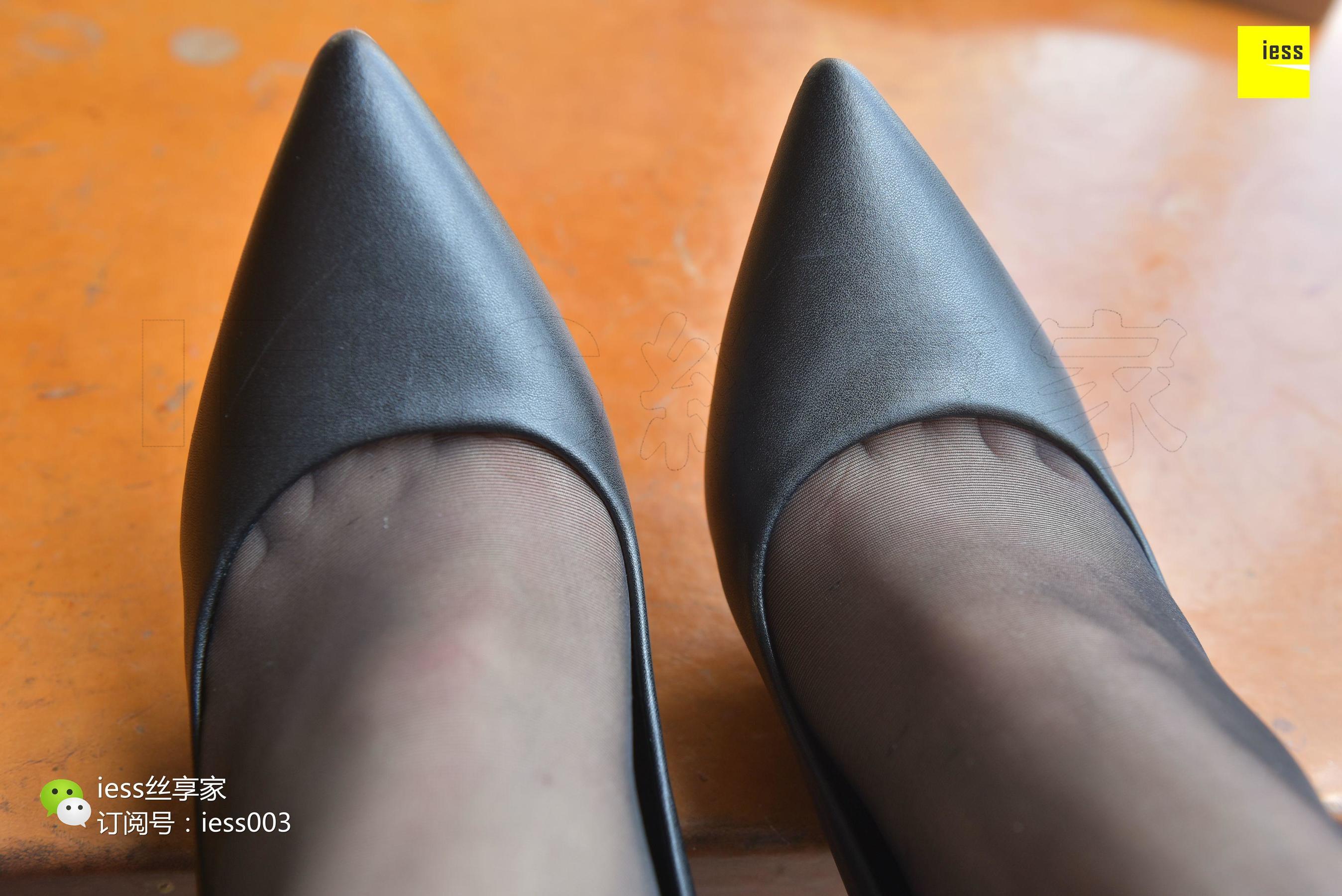 Silkxiang Home 040 Autumn Autumn I miss the autumn of the autumn of wearing a uniform ⅱ ⅱ ⅱ ⅱ ⅱ ⅱ