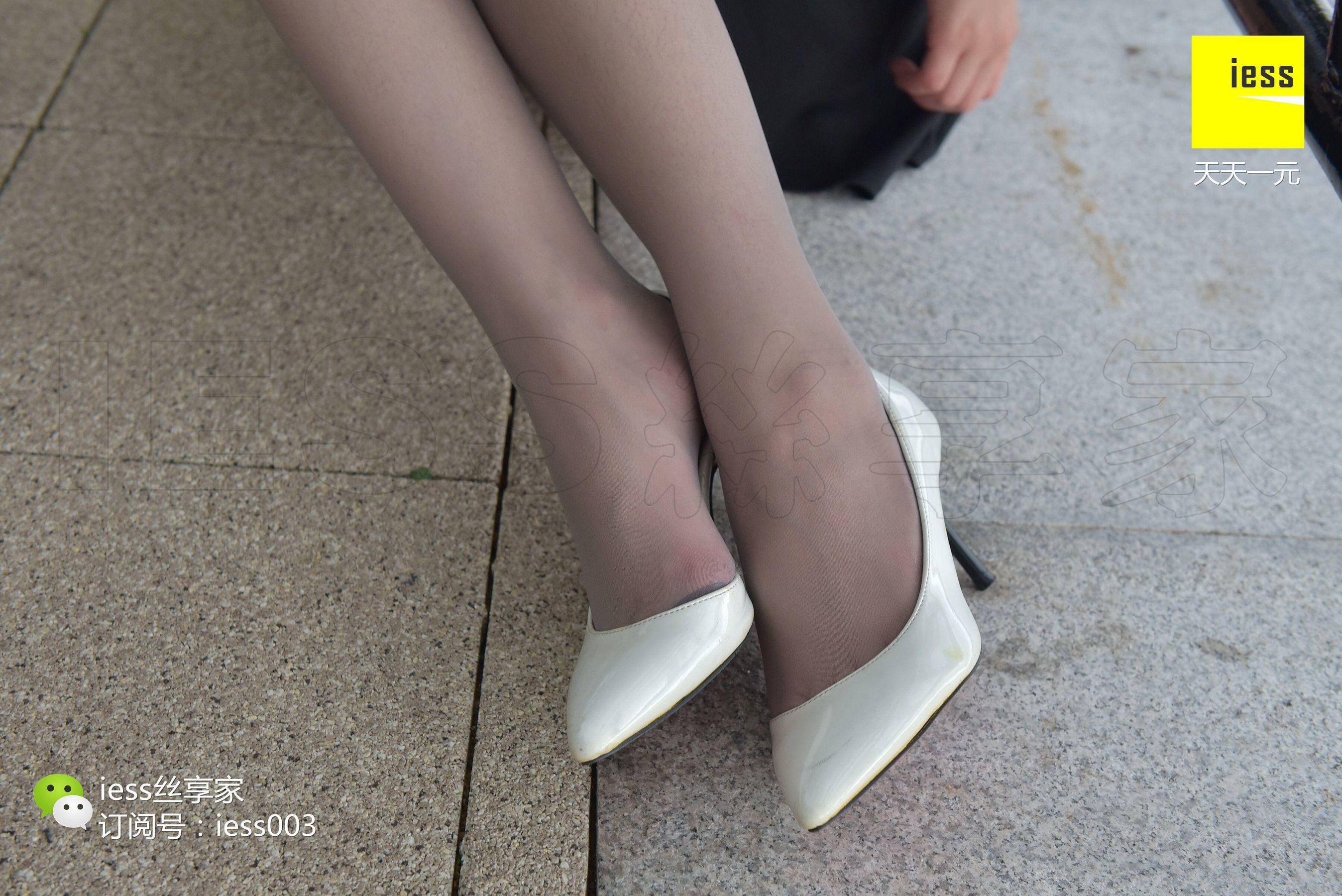 Silkxiang Home 017 Mo Xuan Wild Flowers, Iron Chain, Gray Silk IESS Different Funbian