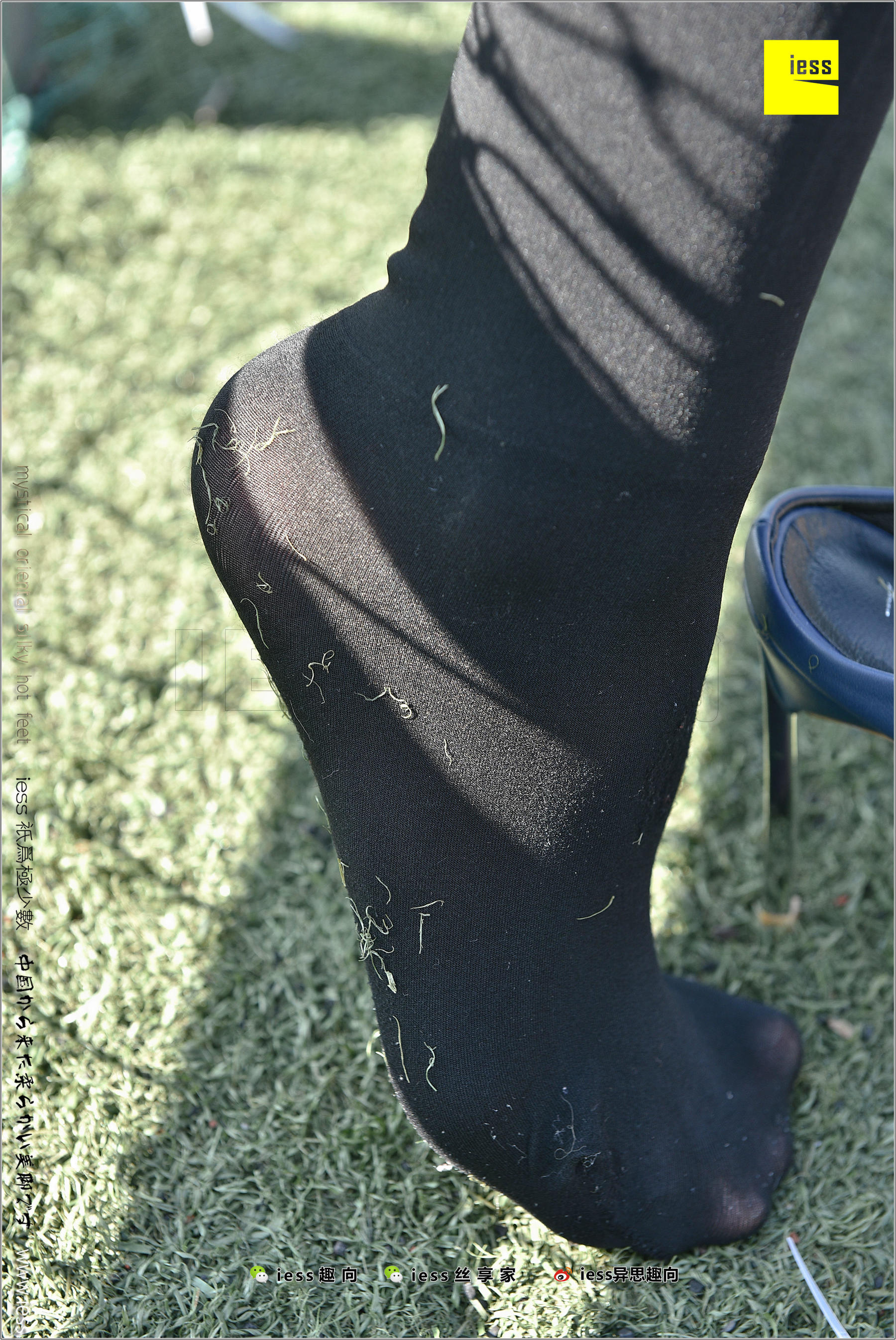 Silk Foot Bento 182 The Thick Black Silk Temptation of Thick Black Silk