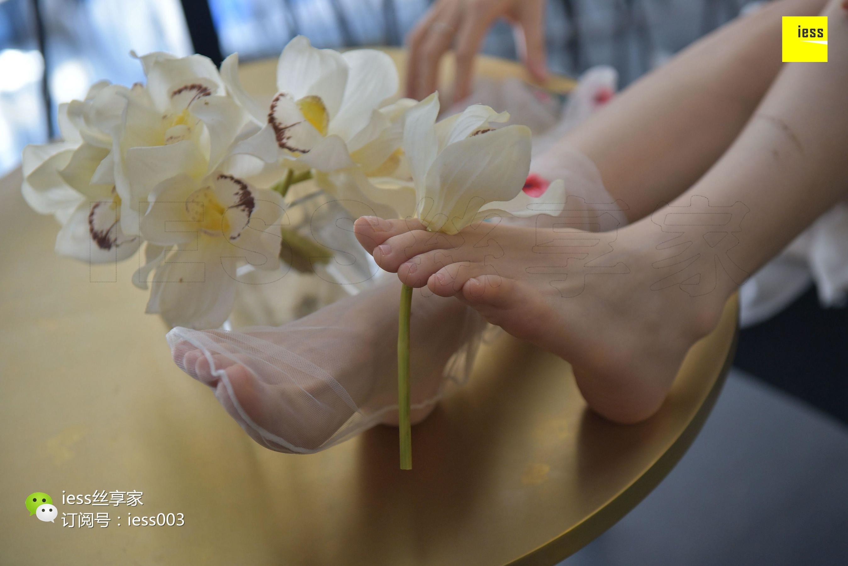 Silkxiang Home 050 Jiajia Jiajia Jiaye IESS is thinking about it