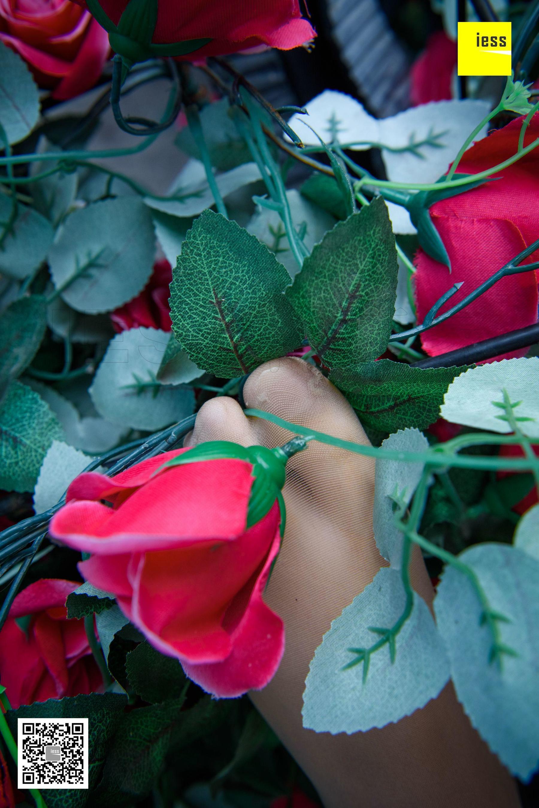 Wan Ping's Rose and Patriarchs Fun Thoughts to IESS Silk Enjoy Home 161