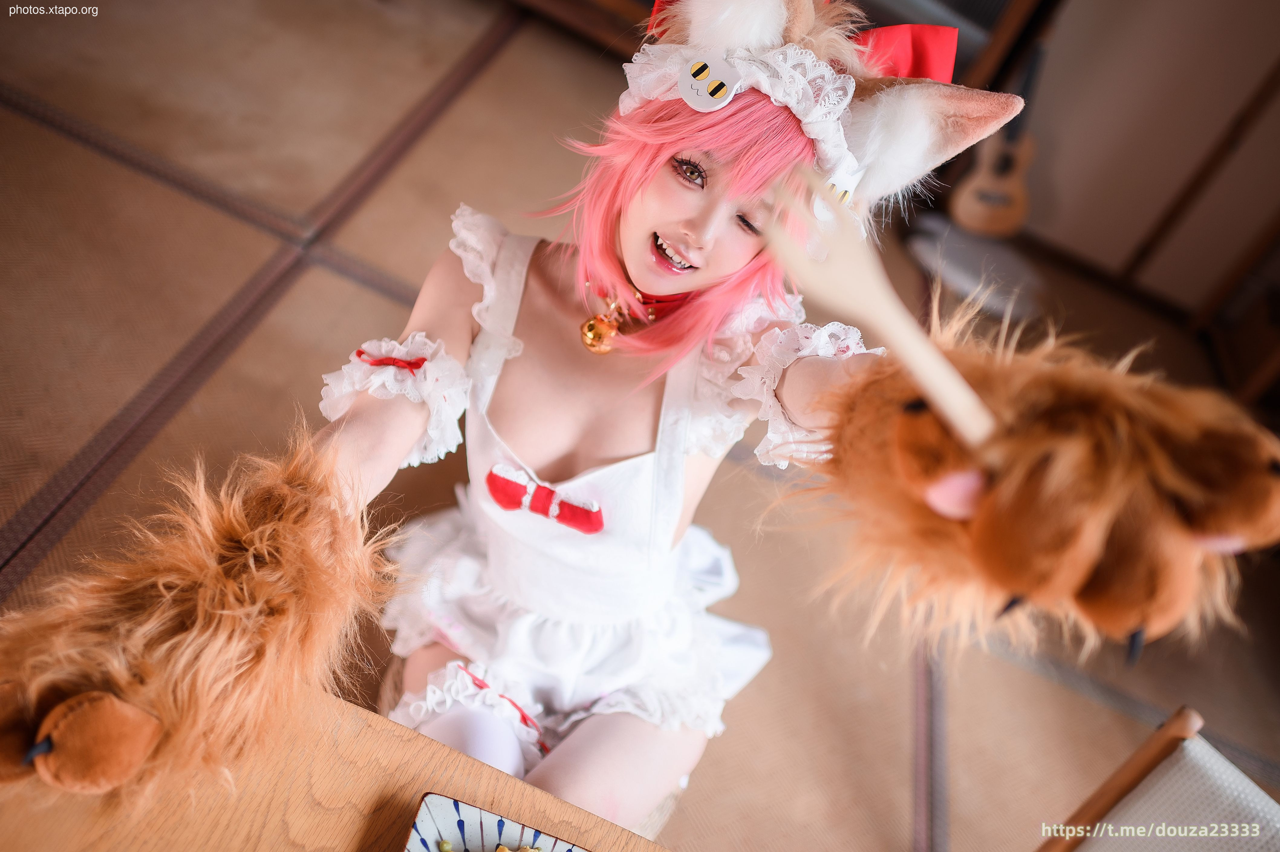 Abao Tamamo Meow (November 9 tipping group resources)