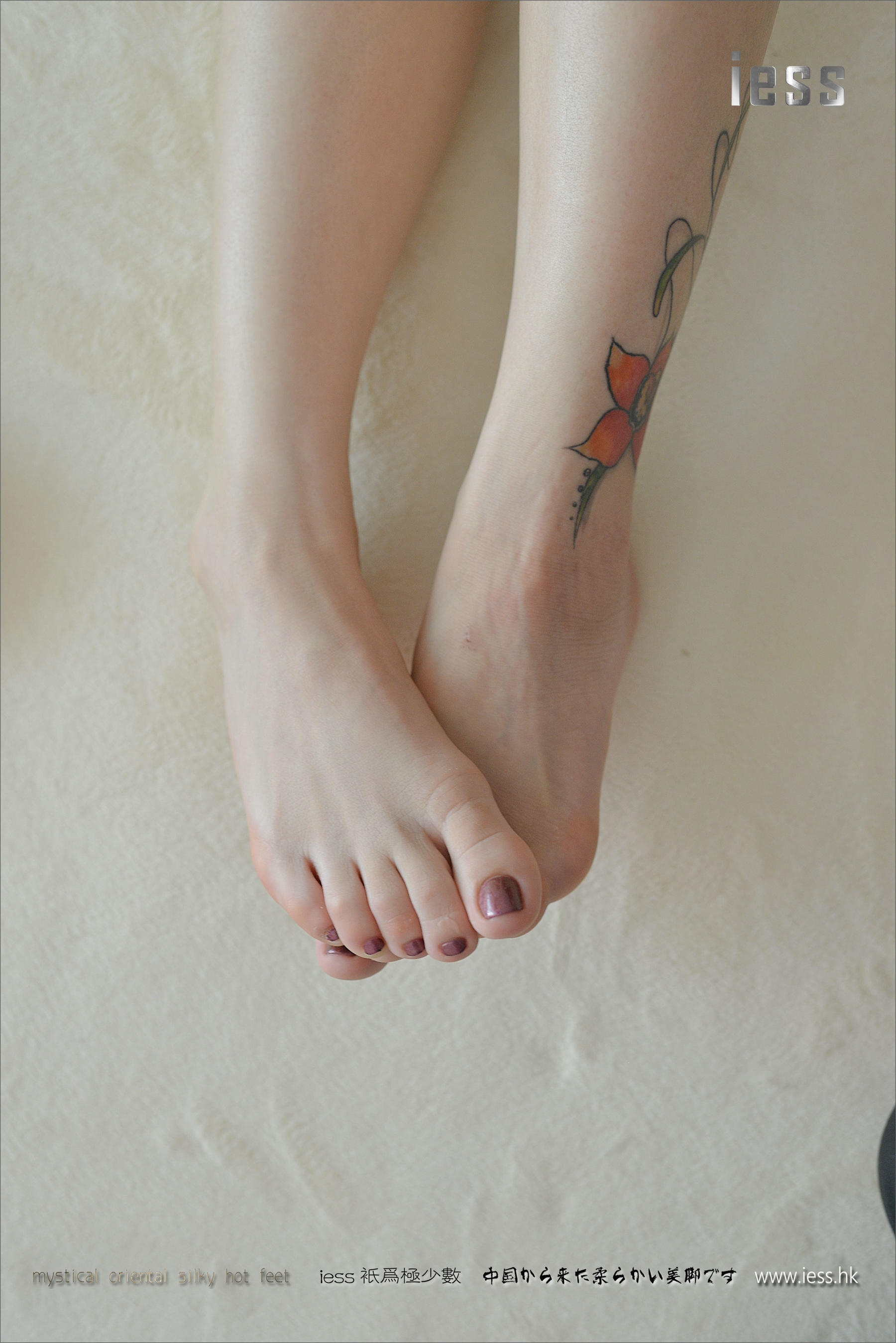 Silk Foot Bento 066 Youyou 2016 IESS Thinking Funbian