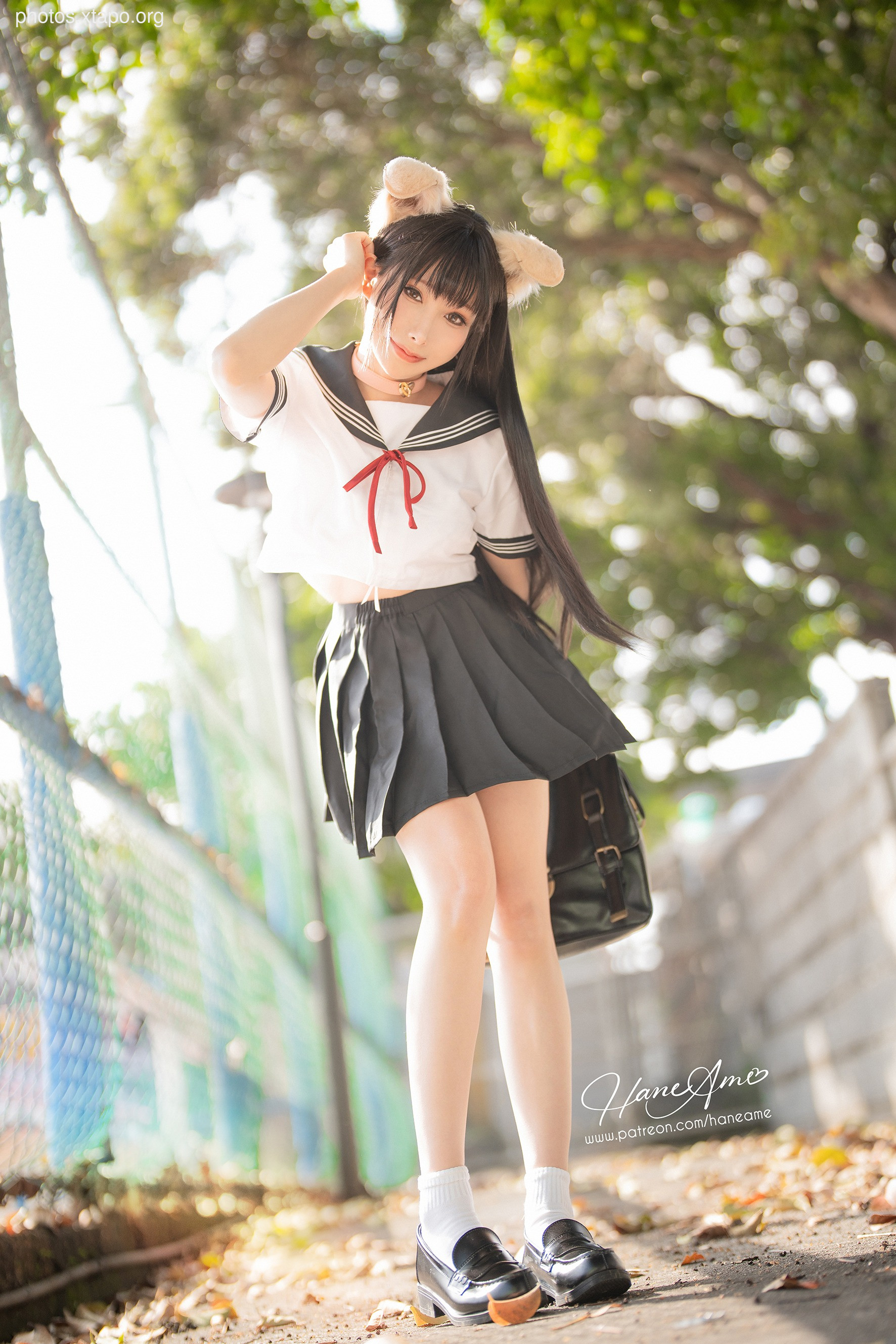 Shiba Inu academic girl Bobo (March 1 reward group resource)