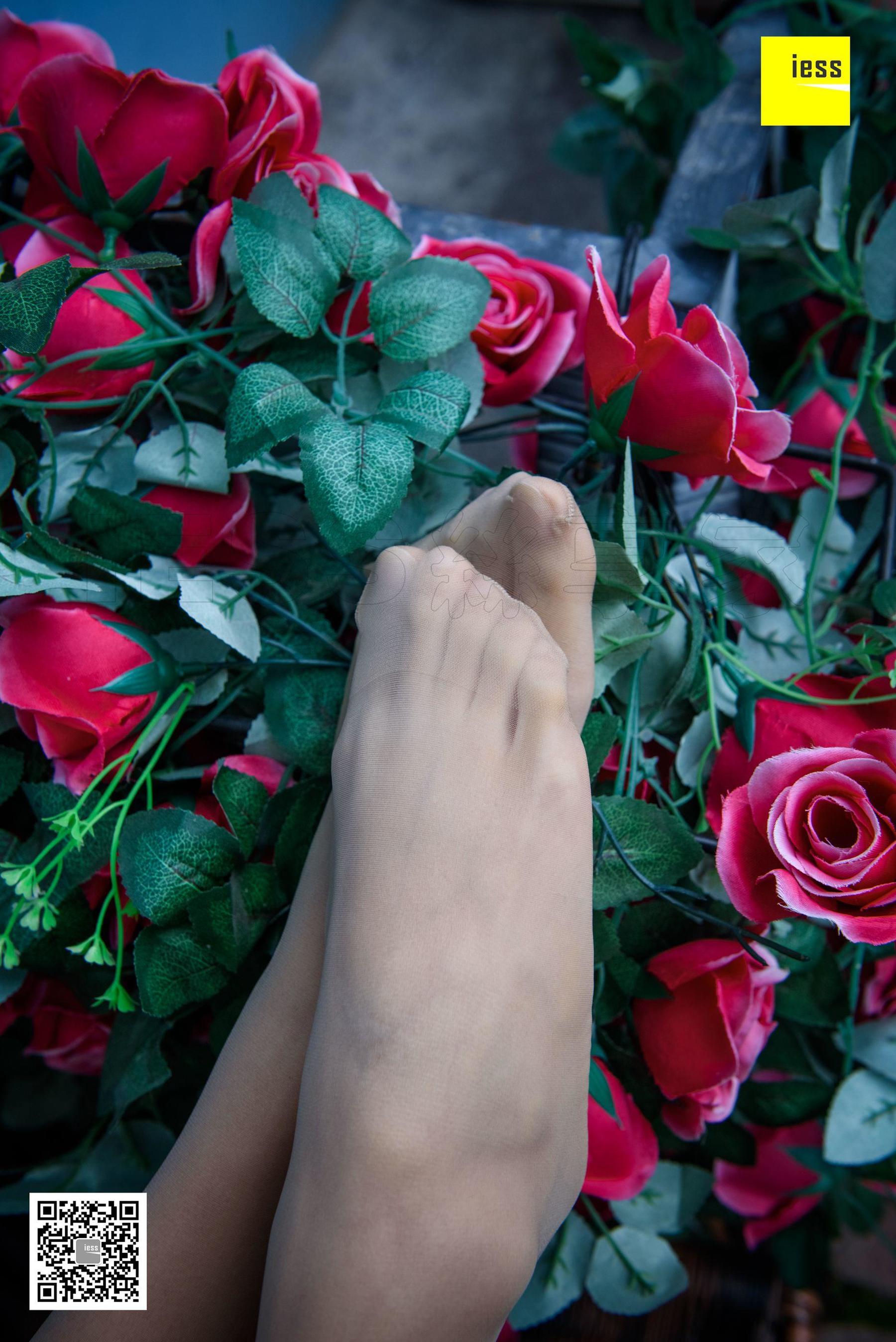 Wan Ping's Rose and Patriarchs Fun Thoughts to IESS Silk Enjoy Home 161