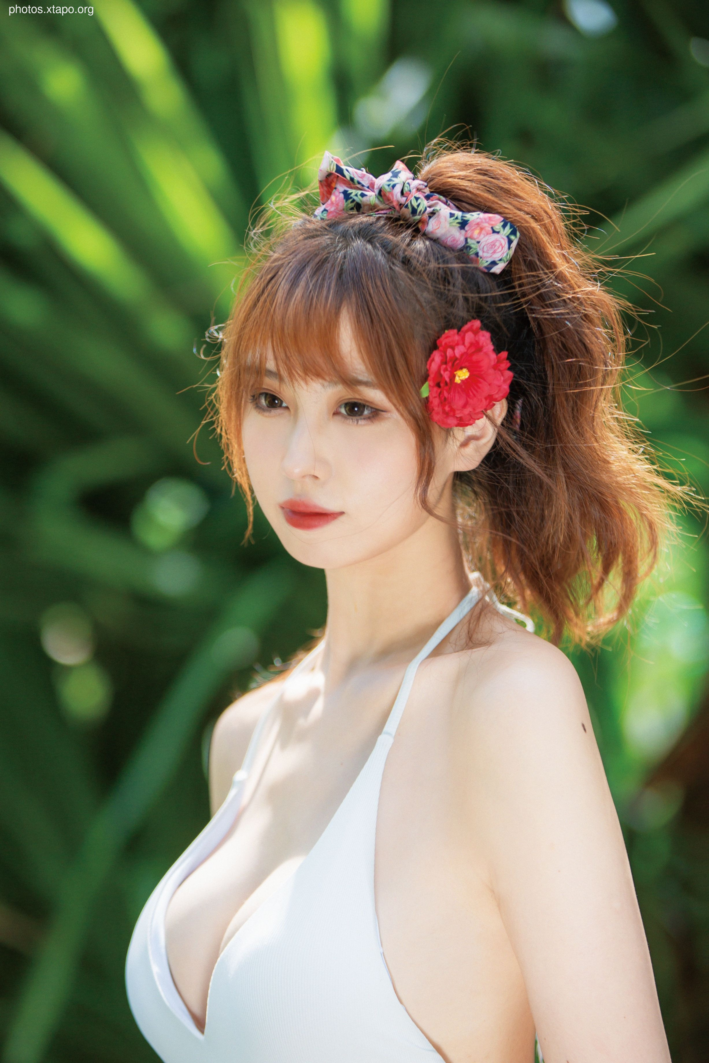 NO.034 Showa Flower 35P-435MB