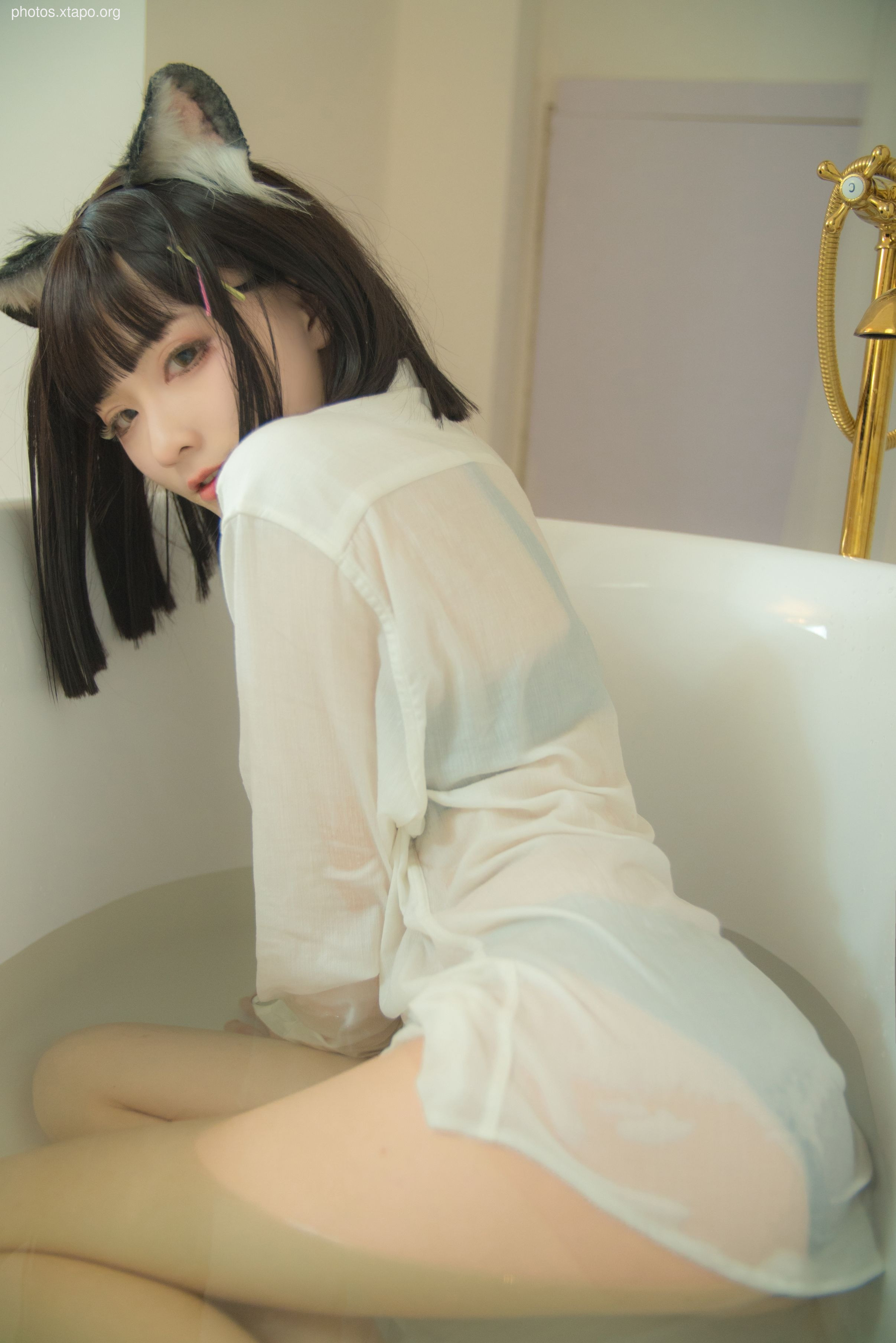 NO.010 Cat News 90p-989MB