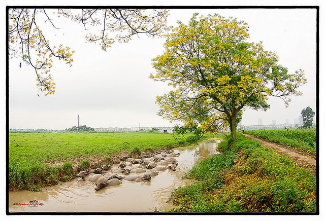 The road, between the pain The pain is just enough to miss each other, smile | Like ca