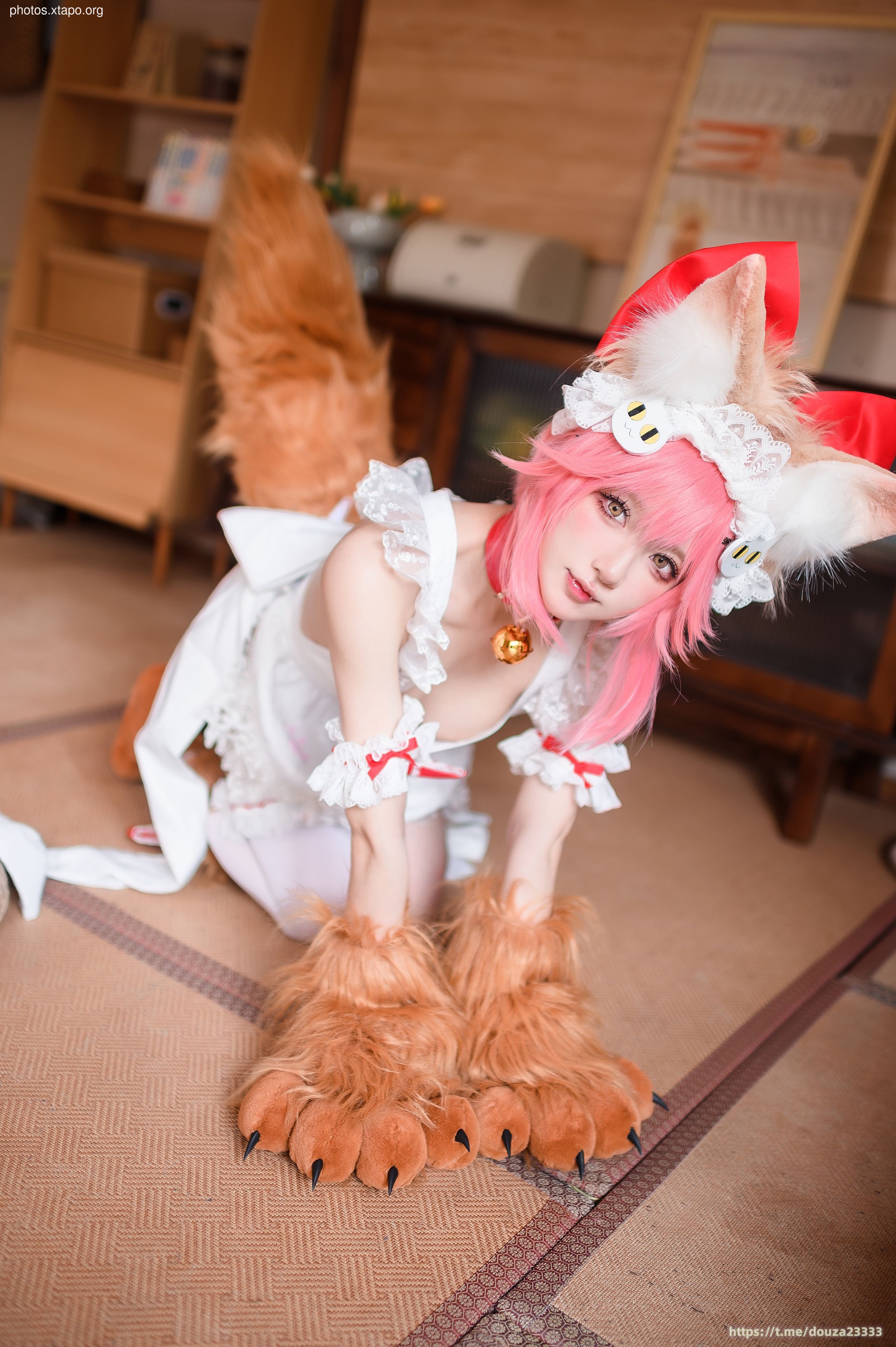 Abao Tamamo Meow (November 9 tipping group resources)