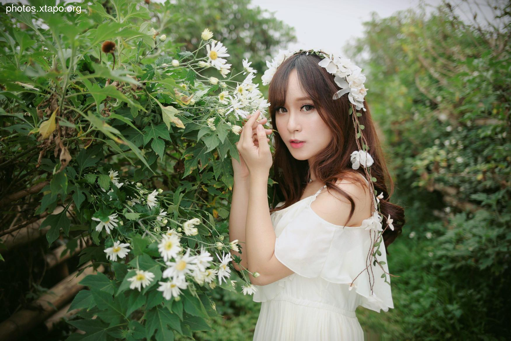 Thu Phuong Tran Temperament Lovely Picture and Photo