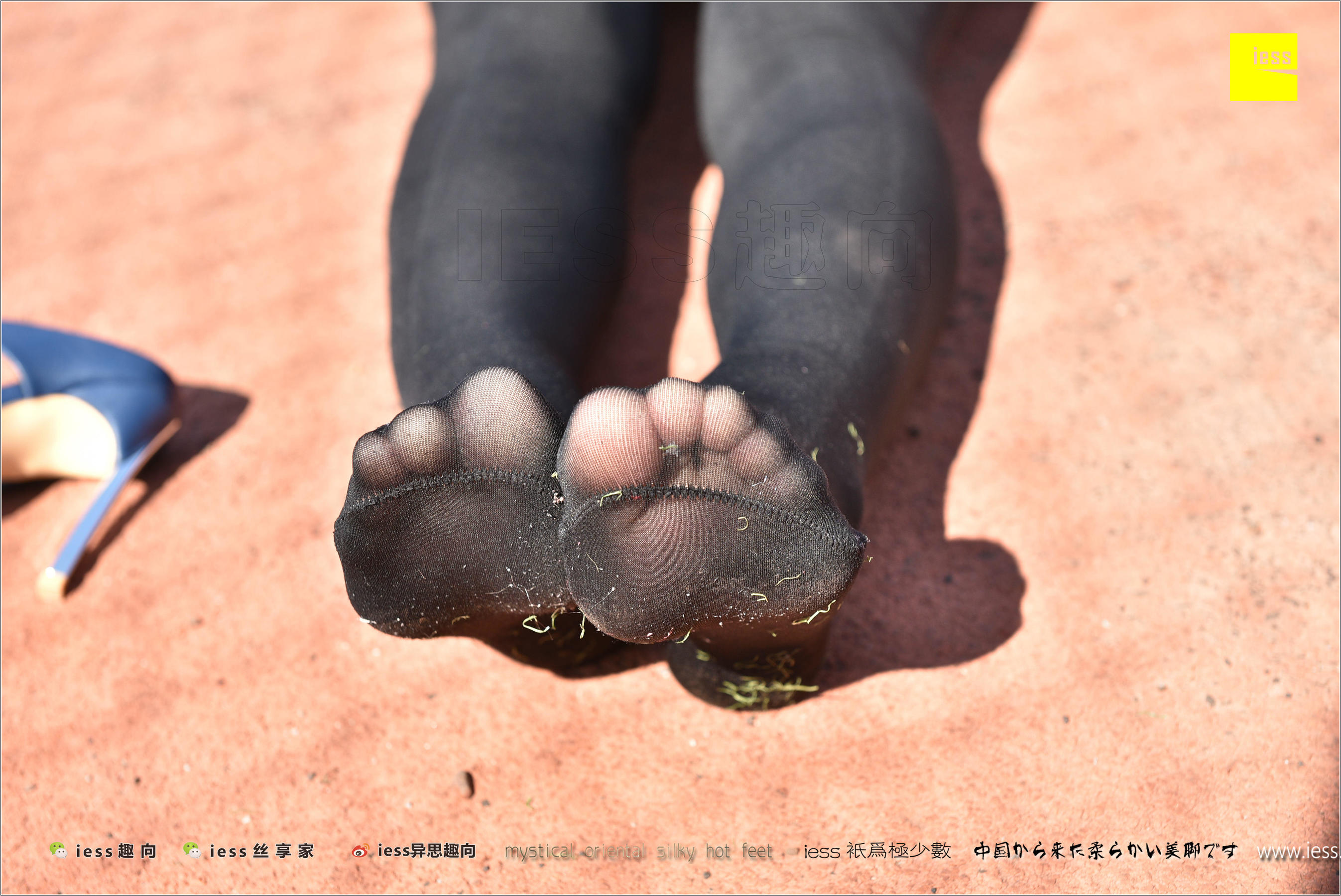 Silk Foot Bento 182 The Thick Black Silk Temptation of Thick Black Silk