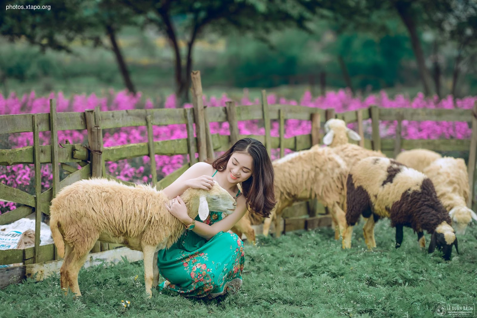 Nguyen Ngoc Anh,