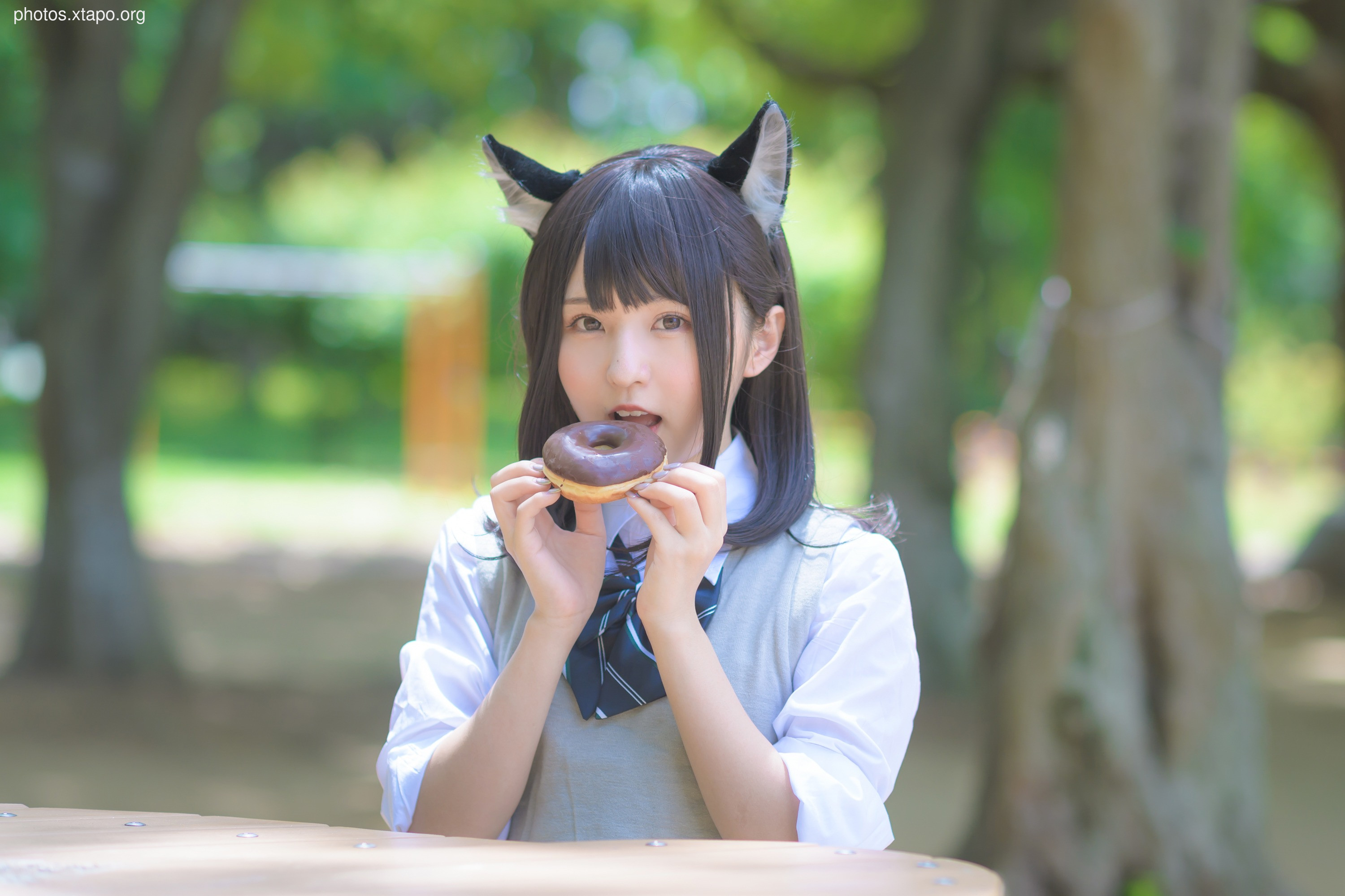 C96 Tofu Factory (Anni Tofu) mamefu Chaton