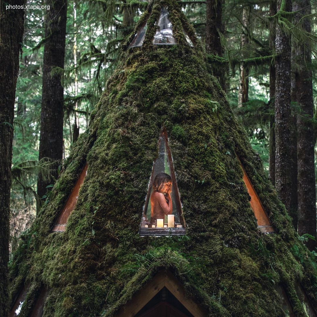 Building a wonderland of artisan cabins nestled in the PNW rainforest by Jacob Witzling & Sara Underwood