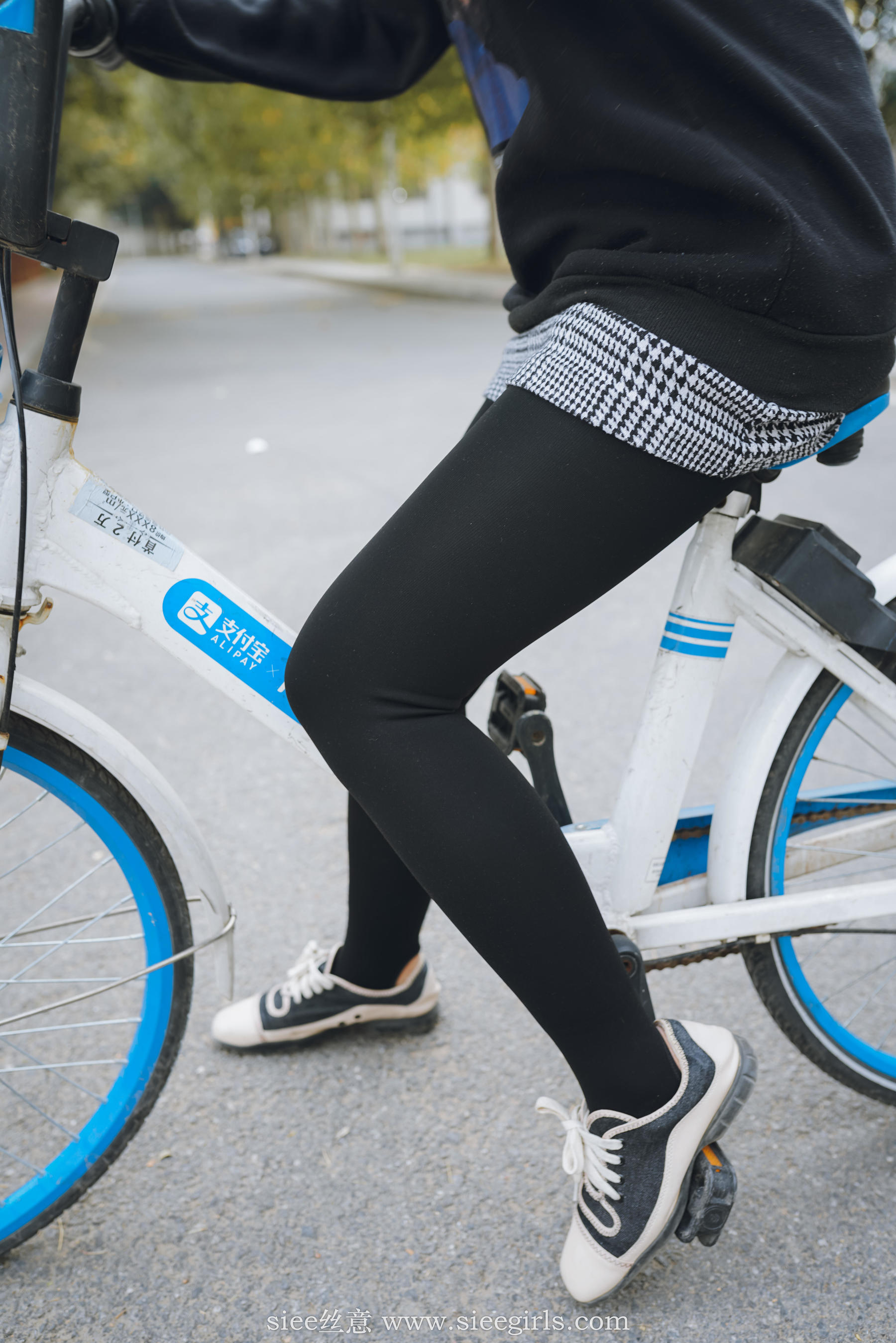 Si Yi Siee The romantic sisters of the bear