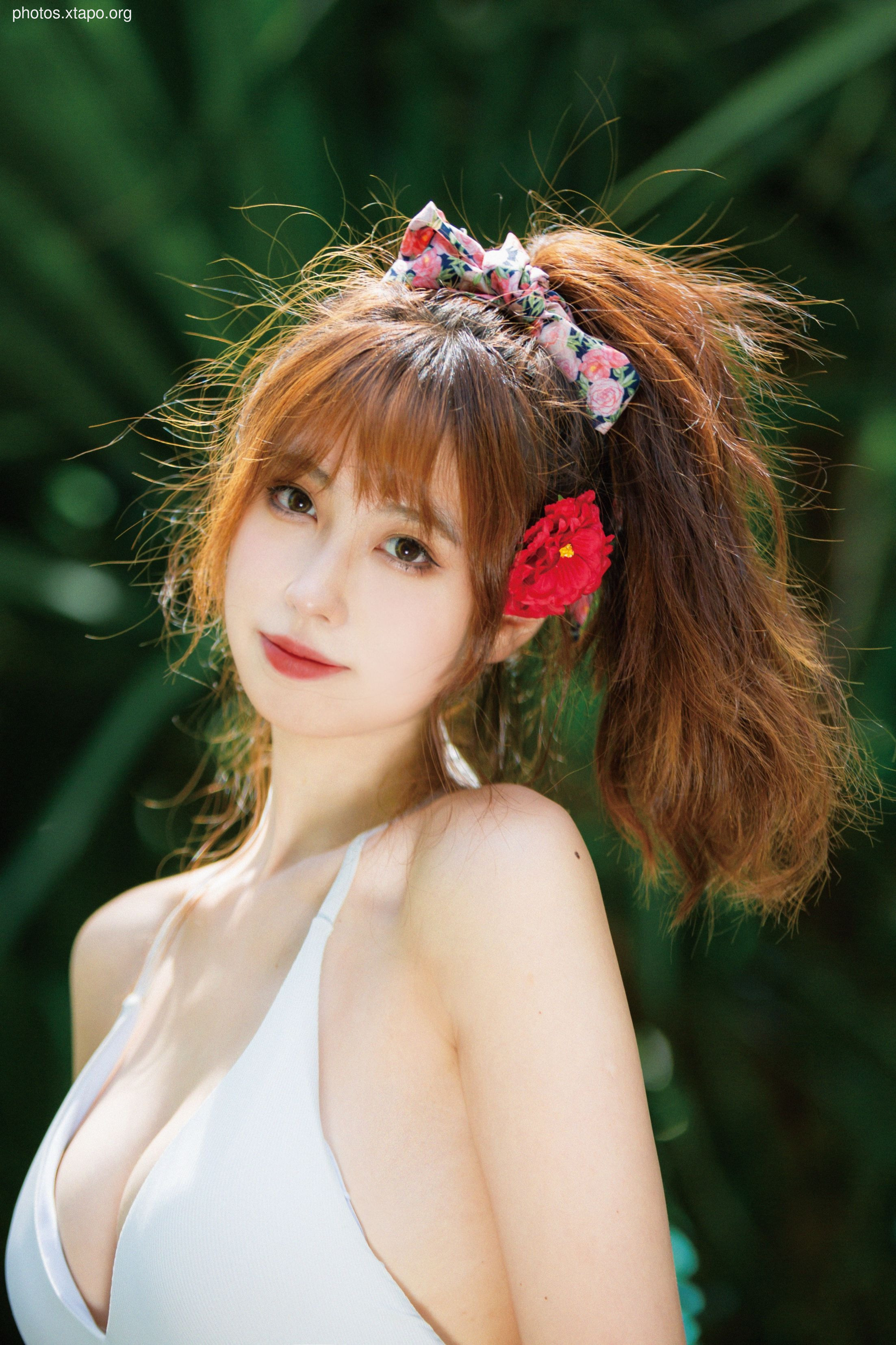 NO.034 Showa Flower 35P-435MB