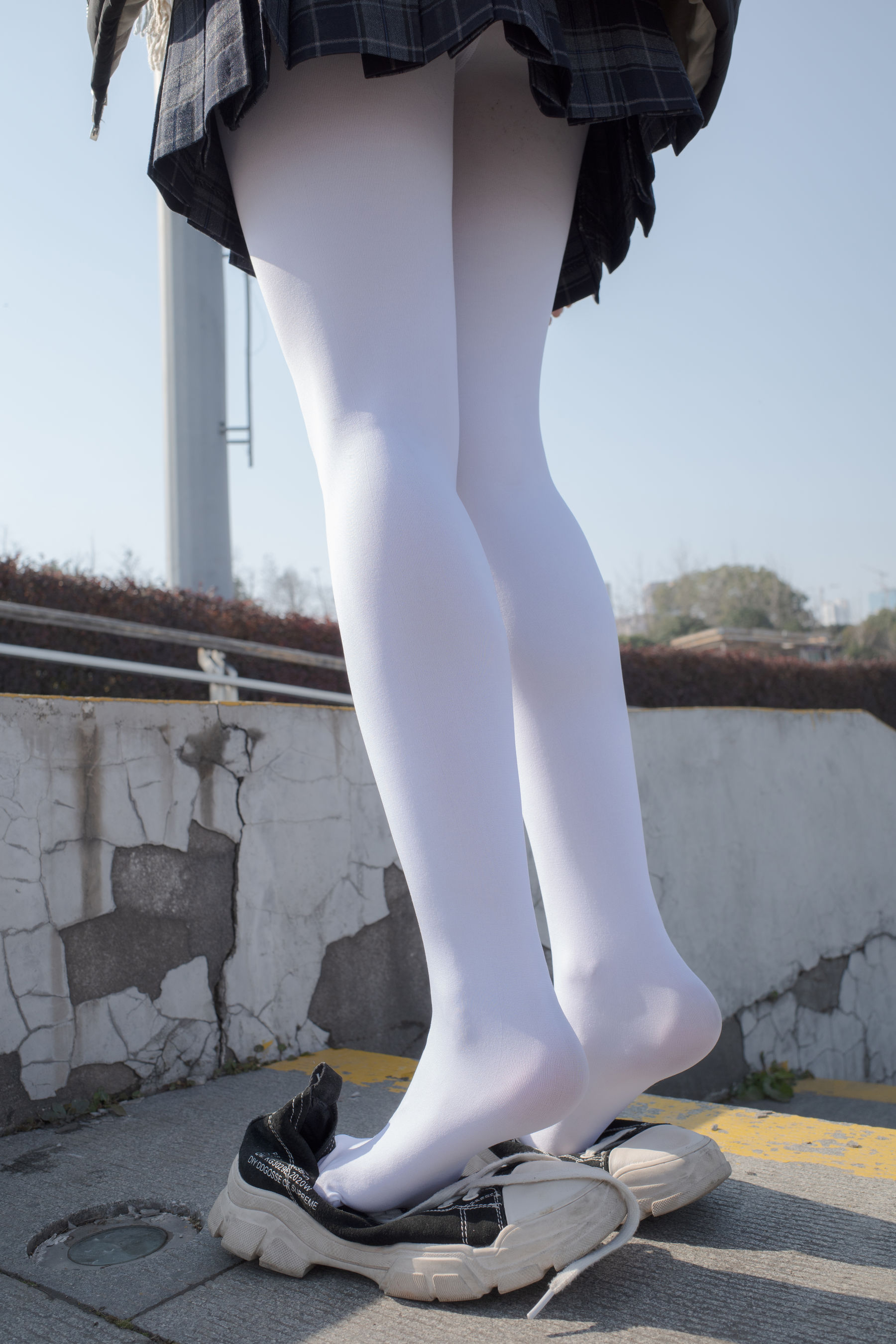 Senluo Consortium 22 anonymous