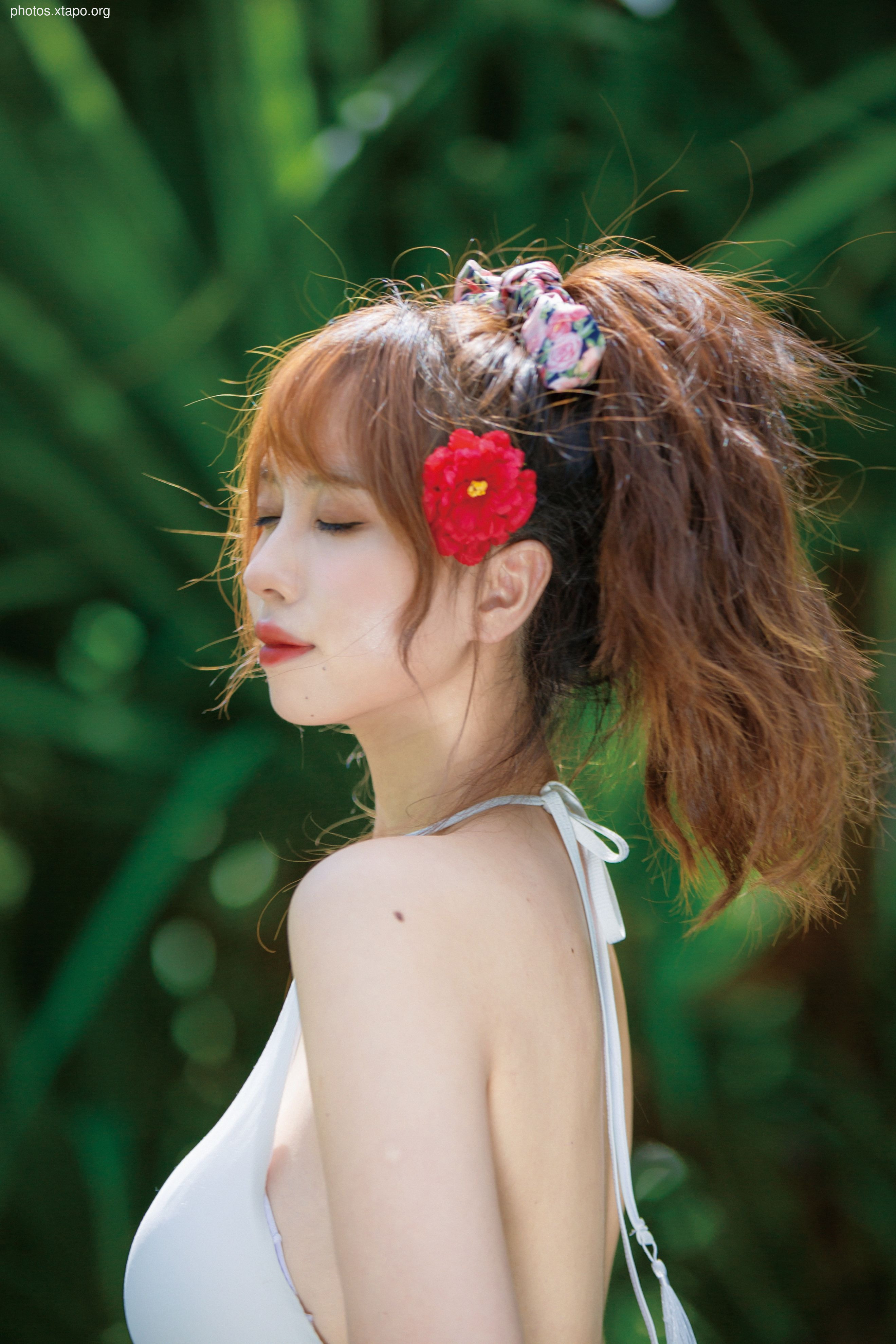 NO.034 Showa Flower 35P-435MB