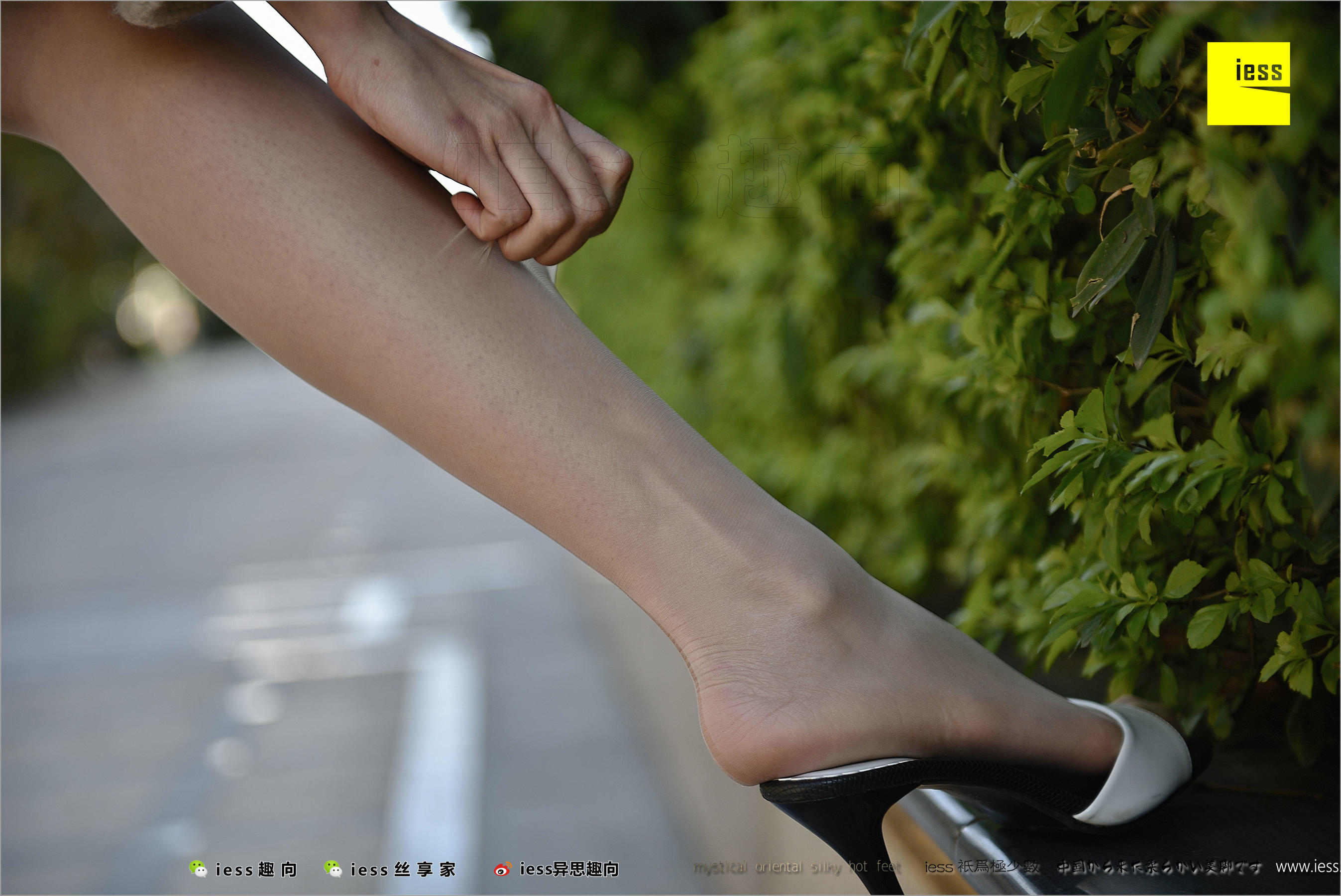 Silkyuan Double Silk Display Different Thoughts to IESS Silk Foot Bento 208