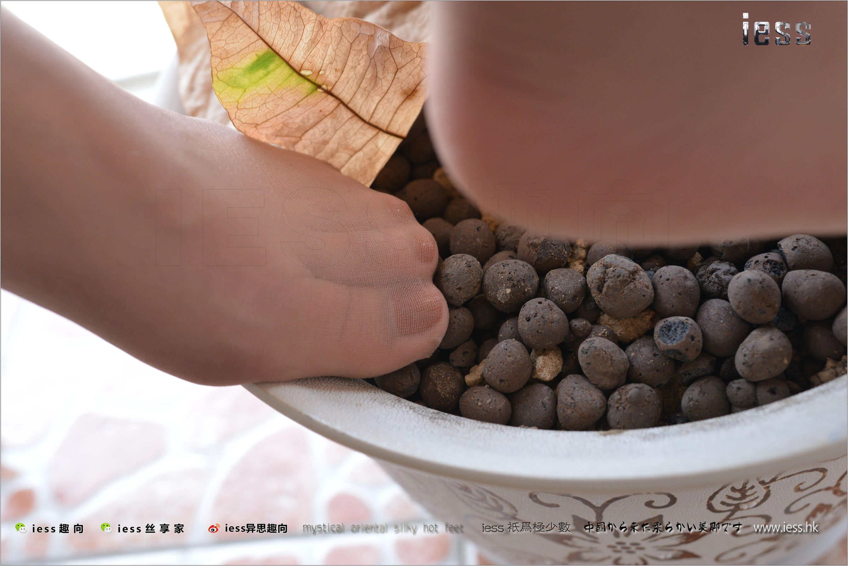 Silk Foot Bento 165 cousin Boss's Far Housing Sister IESS Thoughts Funbian